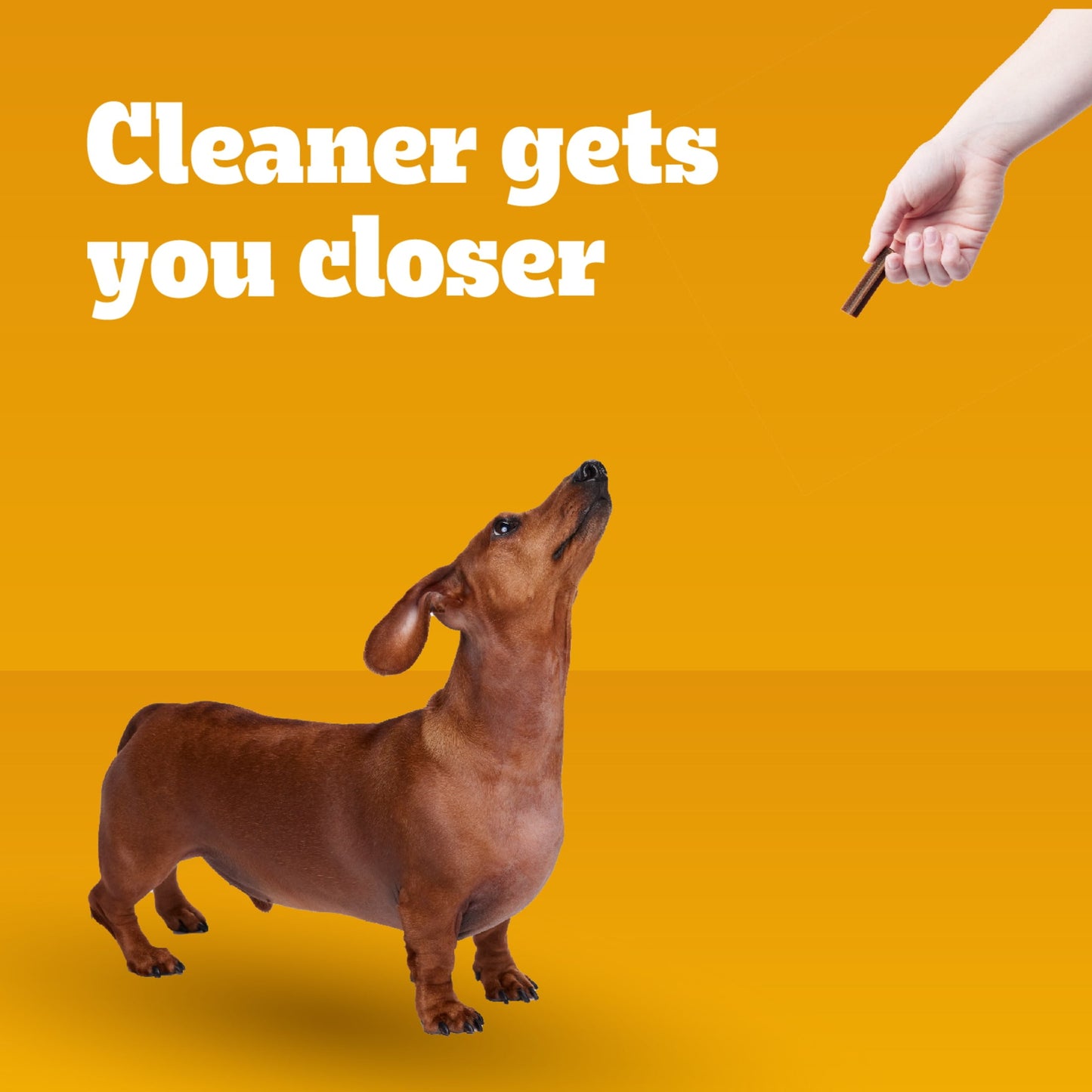 Pedigree Dentastix Beef Flavor Toy & Small Breed Dog Treats, 5.78 Oz Bag