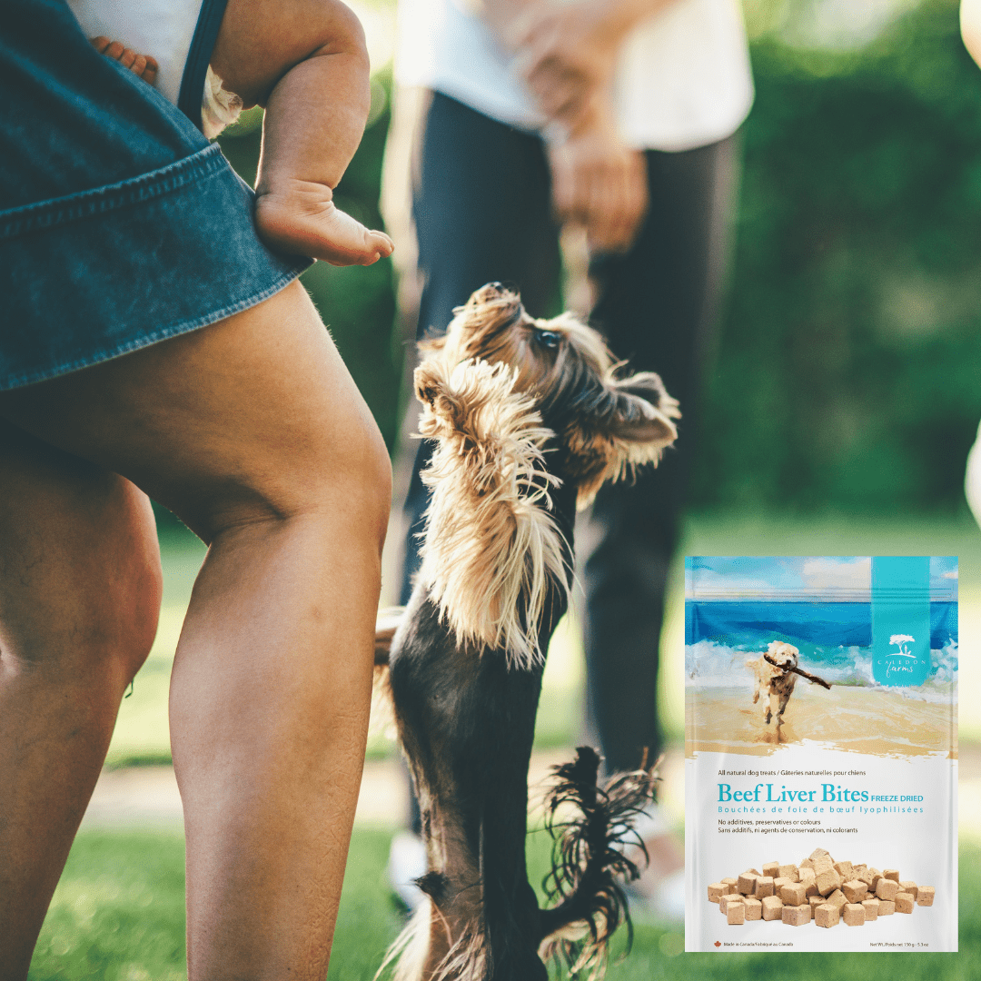 Caledon Farms Beef Liver Topper for Dogs, 5.3 oz Bag