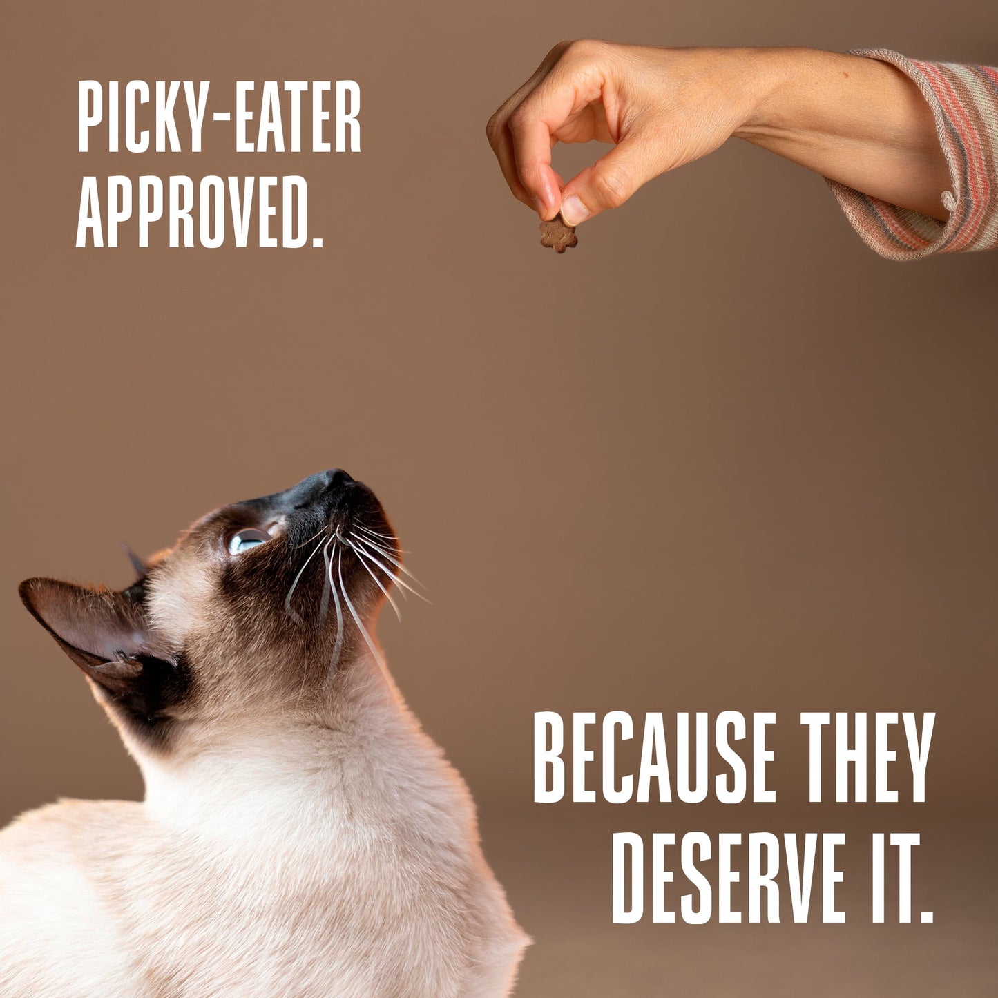 Whole Life Pet Living Treats – Healthy Skin Probiotic Snack For Cats, 1oz