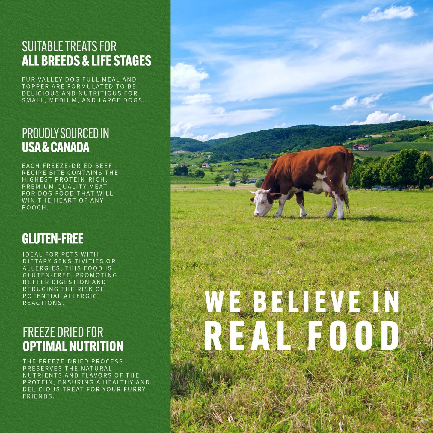 Fur Valley Pet Co. Freeze Dried Beef Recipe Dog Food and Topper, 16 oz. Bag