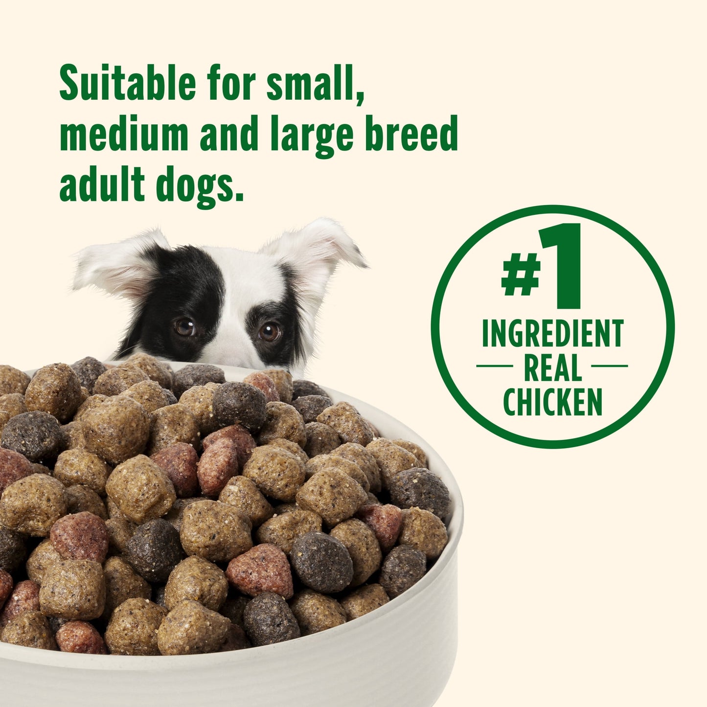 Nutrish Real Chicken & Veggies Recipe Whole Health Blend Dry Dog Food, 6 lb. Bag (Rachael Ray)