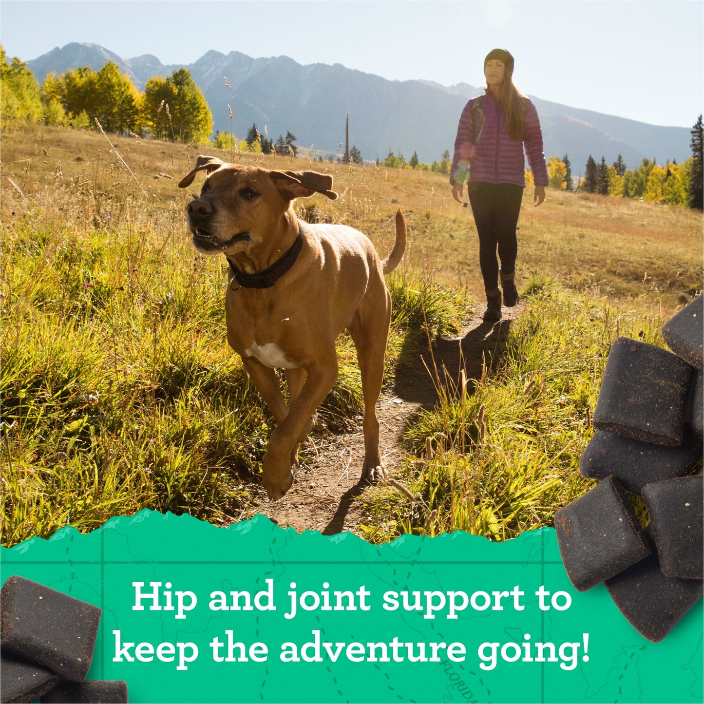 Zuke's Hip & Joint Soft Dog Treats, Natural Chicken Recipe Tender Chews, 6 oz Pouch