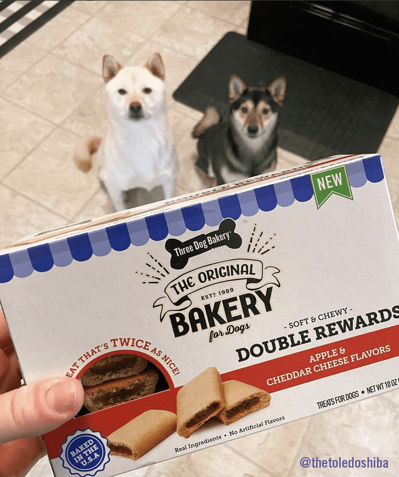 Three Dog Bakery Double Rewards Apple & Cheese Soft Chewy Dog Treats, 10oz