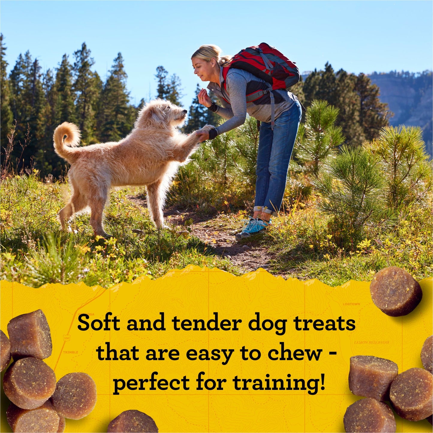 Zuke's Mini Naturals Soft Dog Training Treats, Real Chicken Recipe Tender Chews, 6 oz Pouch