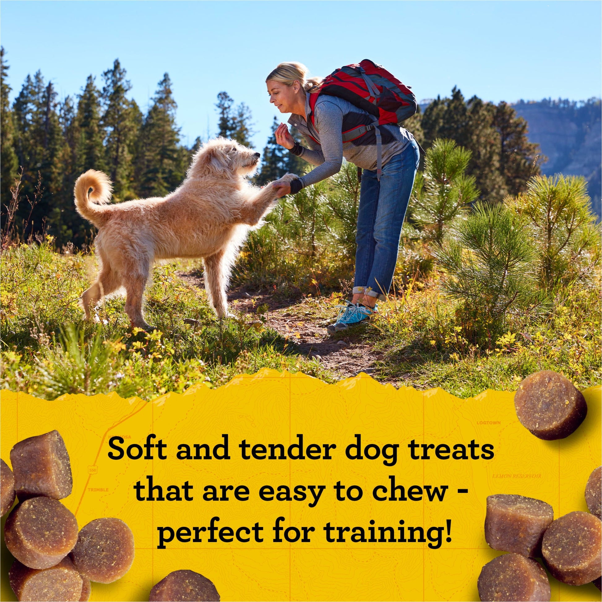 Zuke's Mini Naturals Soft Dog Training Treats, Real Chicken Recipe Tender Chews, 6 oz Pouch