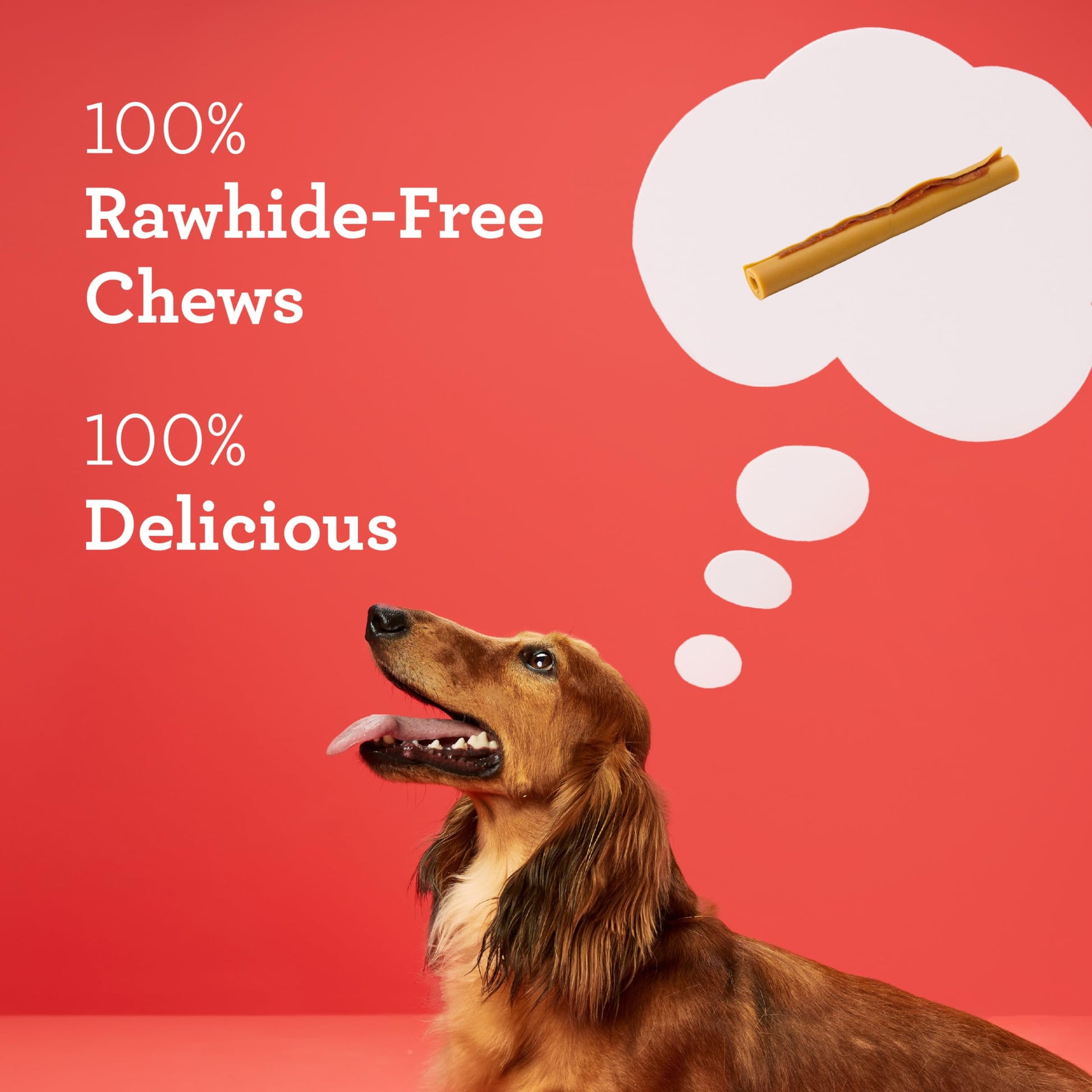DreamBone DreamSticks with Real Bacon and Cheese, Rawhide-Free Chews for Dogs, 15 Count