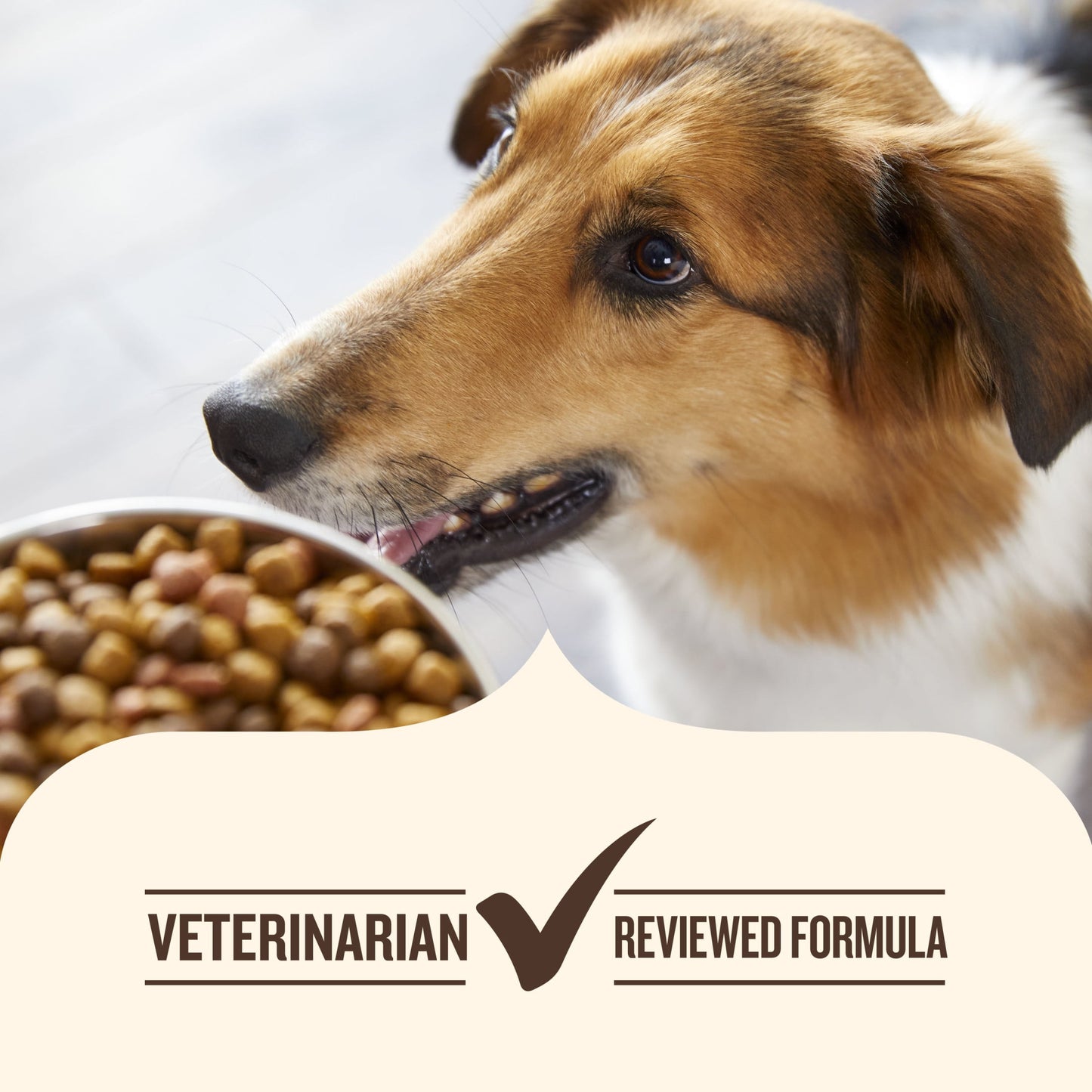 Nutrish Real Chicken & Veggies Recipe Whole Health Blend Dry Dog Food, 6 lb. Bag (Rachael Ray)