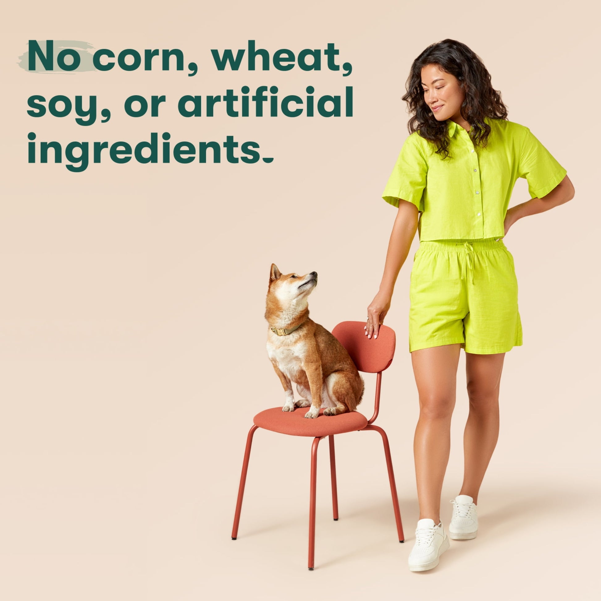 Jinx Chicken Flavor Dental Treats for Small Dogs, 8.8 oz Bag, 13 Treats