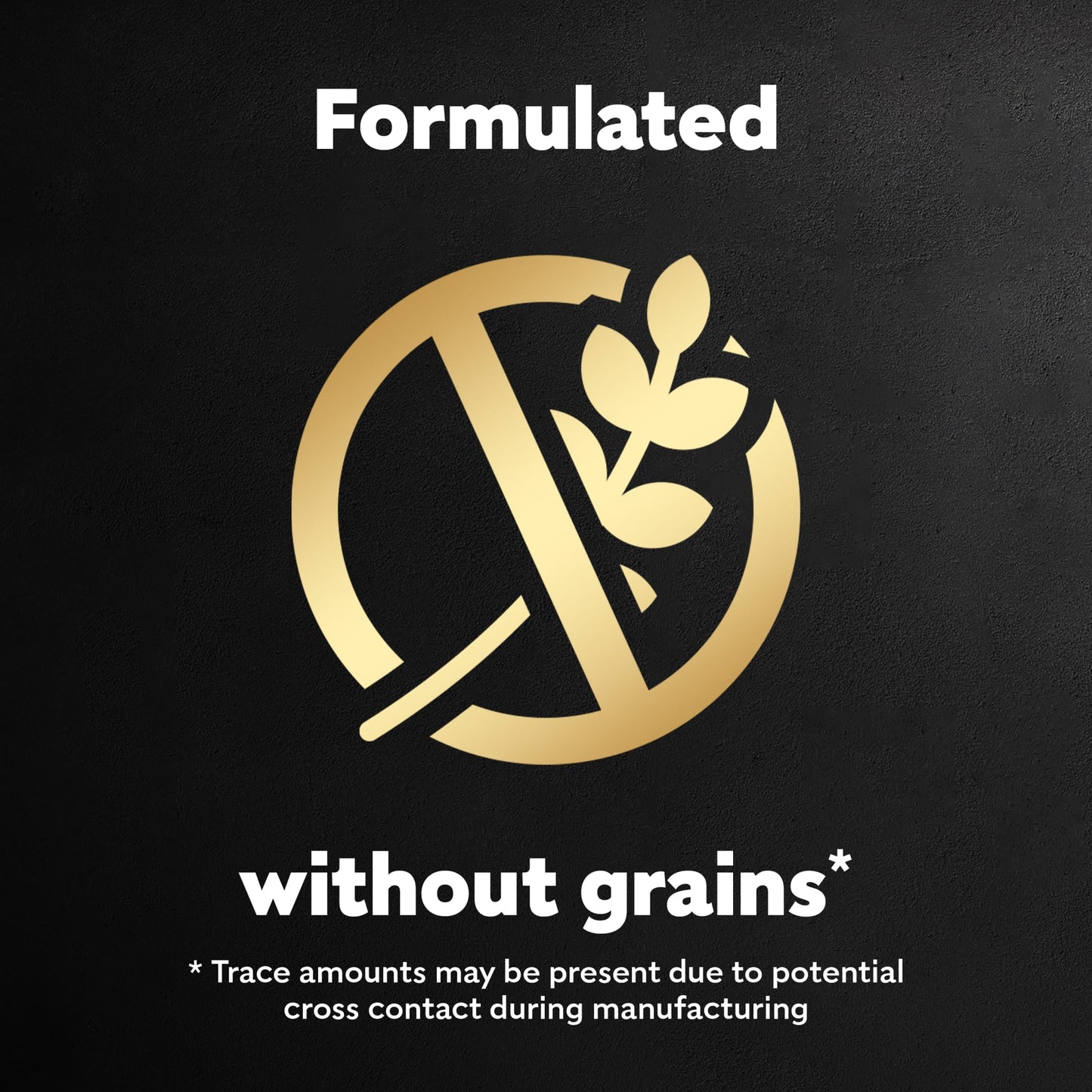 (4 pack) Cesar Loaf And Topper Angus Beef With Bacon And Cheese Wet Dog Food, 3.5 Oz Tray