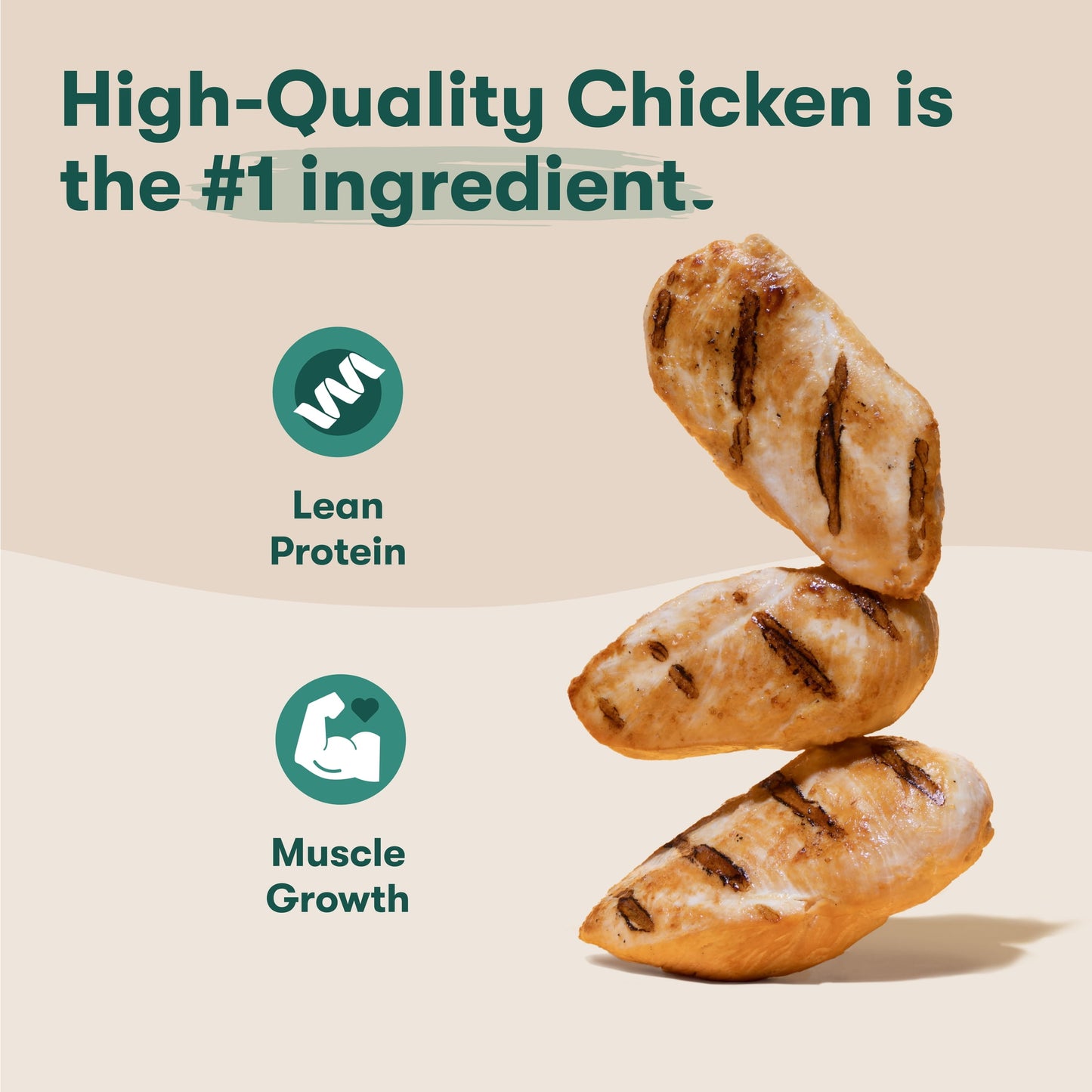 Jinx Chicken Bone Broth Biscuits, Crunchy Dry Dog Treats, 16 oz Bag