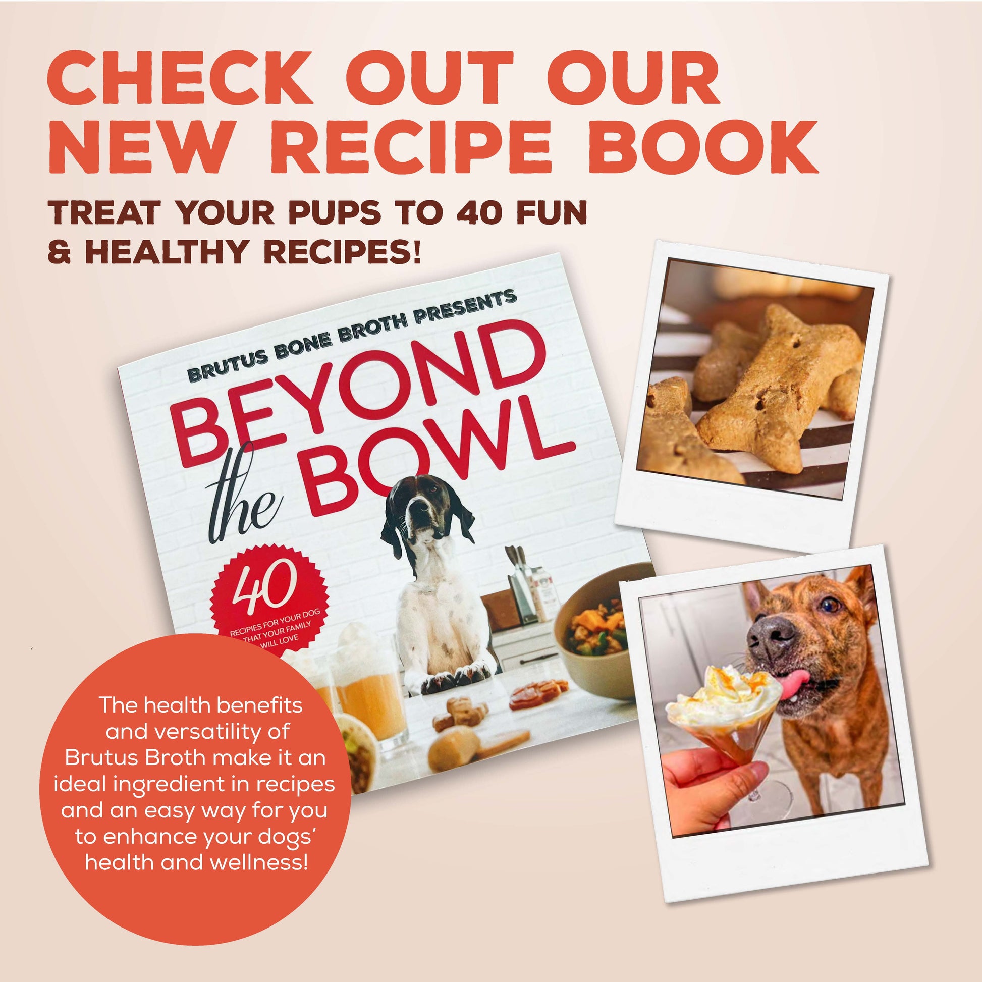 Brutus Bone Broth Chicken for Dogs - 32 oz, All Natural Human Grade Dog Food Topper with Chondroitin Glucosamine Turmeric, Great for Picky Eaters & Dry Food, Tasty & Nutritious