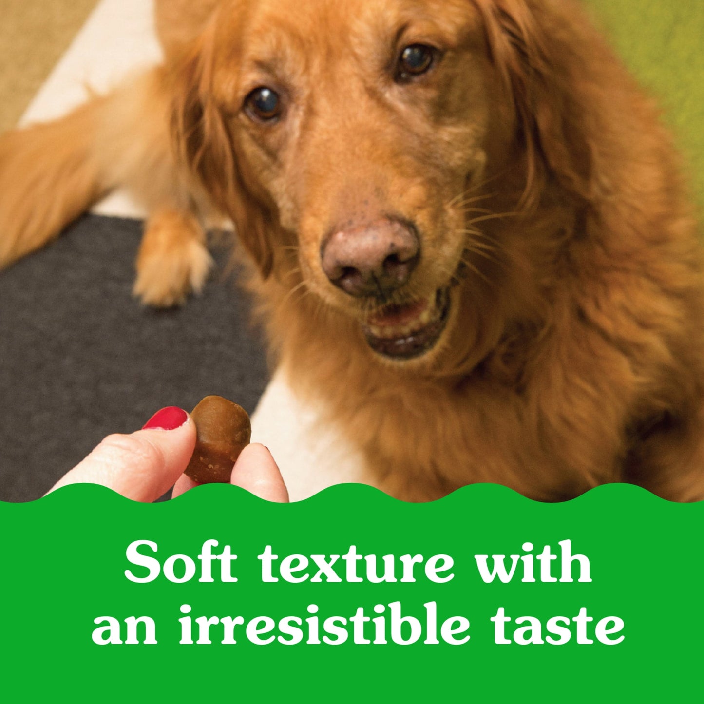 Greenies Pill Pockets For Dogs Hickory Smoke Large, Capsule Size Soft Dog Treats, 7.9 Oz (30 Pk)