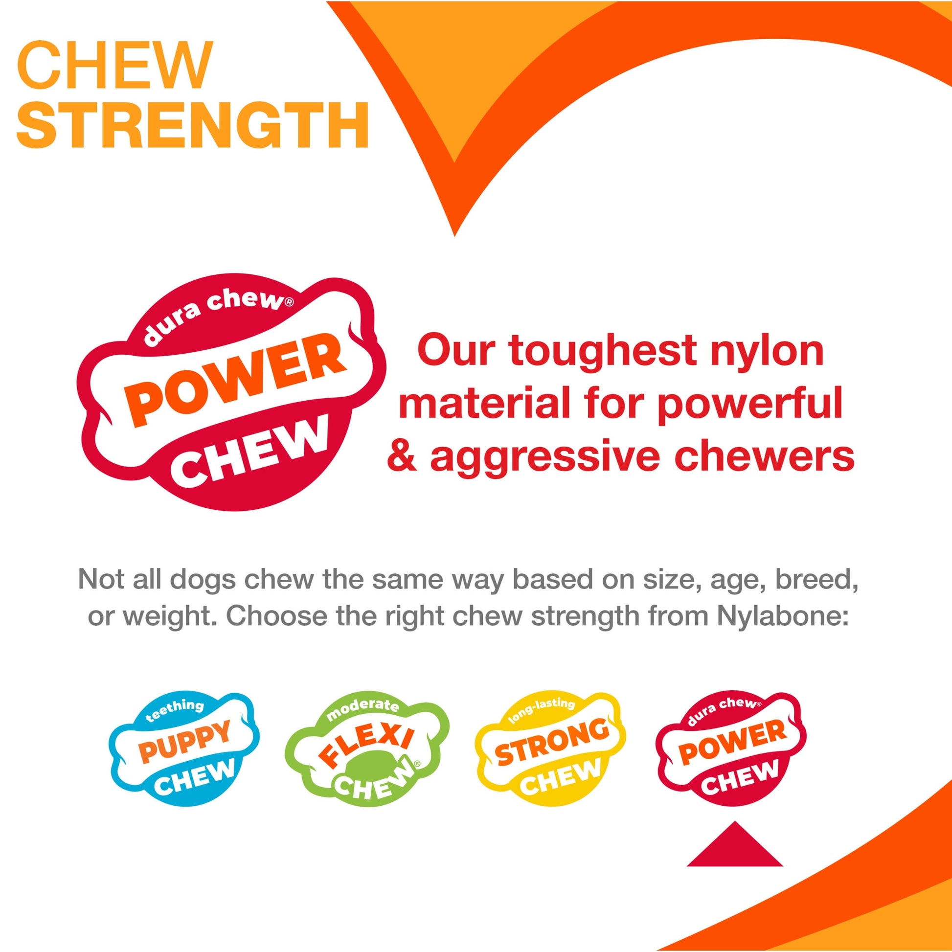 Nylabone Power Chew Textured Dental Chew Toy, Chicken Flavor, Medium - Up to 35 lbs. (1 Count)