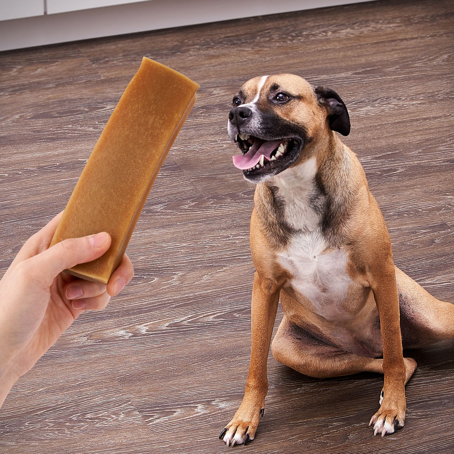 Ol' Roy Long-Lasting Jumbo Munchy Bone Treats Peanut Butter Flavor for Medium and Large Dogs, 9.2 oz