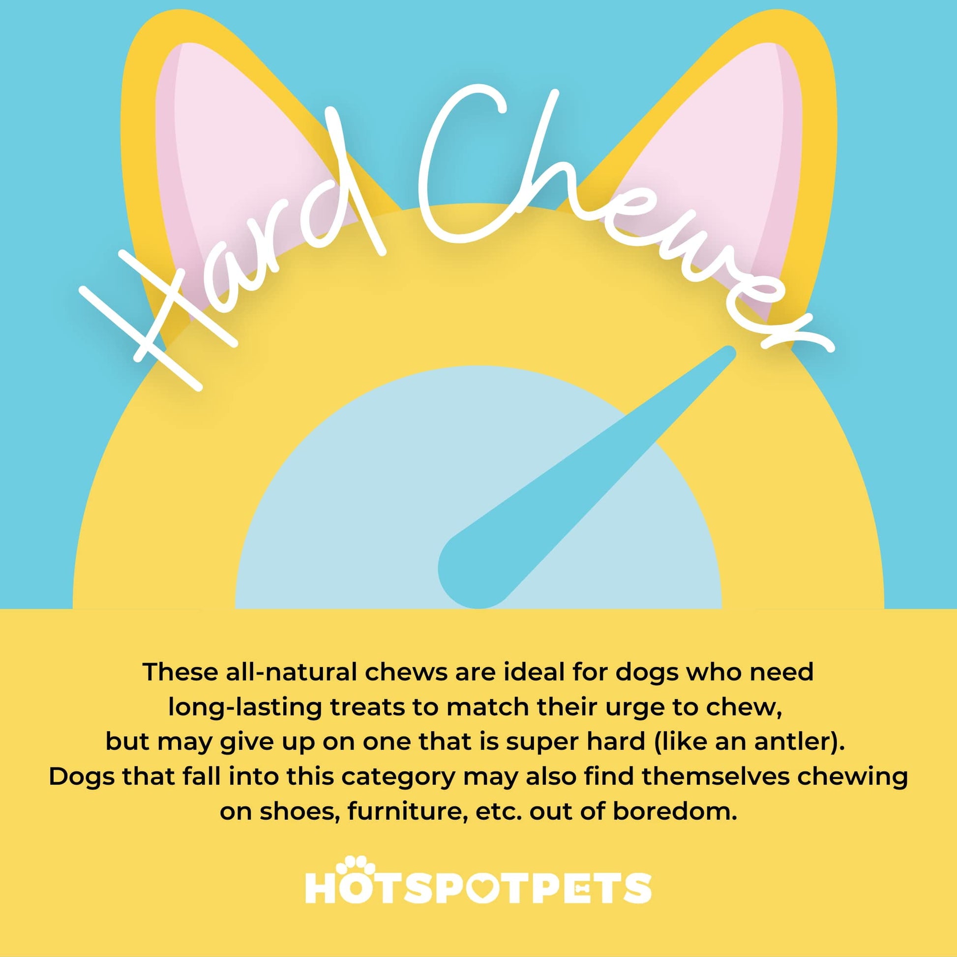 HotSpot Pets Rawhide Dog Bones - Great for Dog Chews, Promotes Hygiene and Healthy Gums, 8-9 Inch, Large, 5 Pack