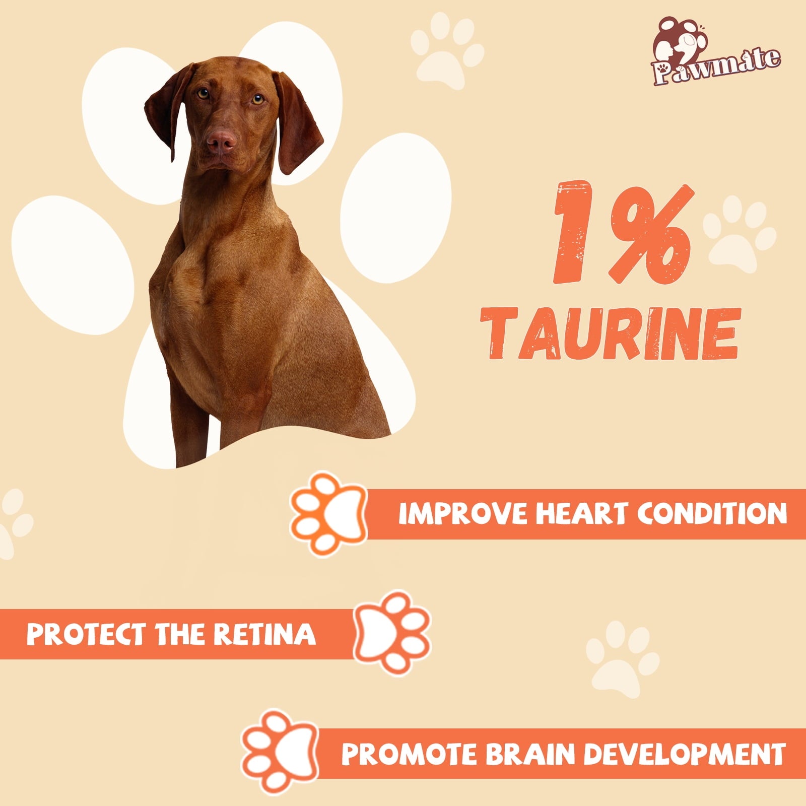 Pawmate Rawhide Dog Bone, Chicken Wrapped 6.5" Knotted Bones, Long-Lasting Chews for Large Dogs, 4 Count