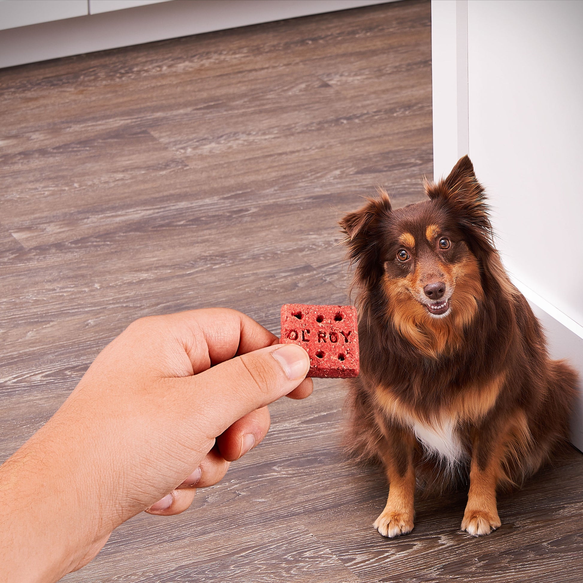 Ol' Roy Multi Flavored Snap Biscuits, Dry, 60 oz Pouch