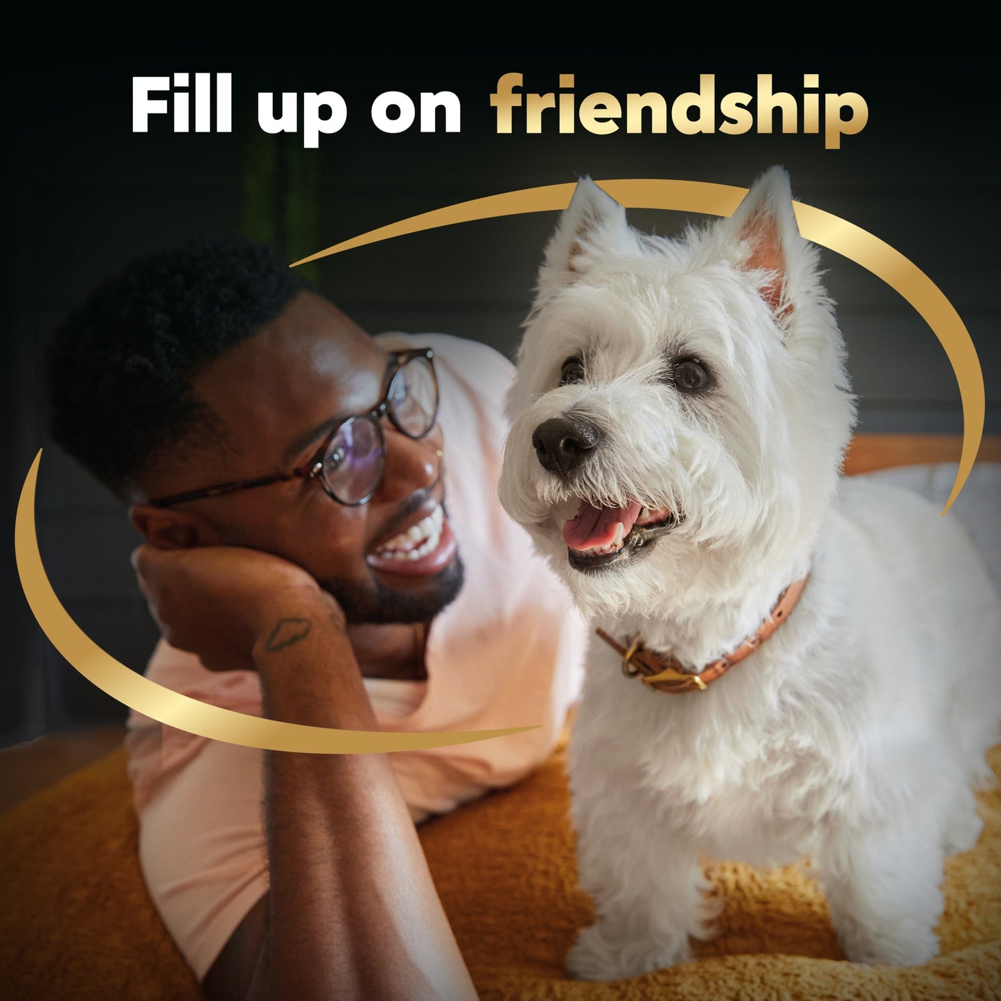 (4 pack) Cesar Loaf And Topper Angus Beef With Bacon And Cheese Wet Dog Food, 3.5 Oz Tray