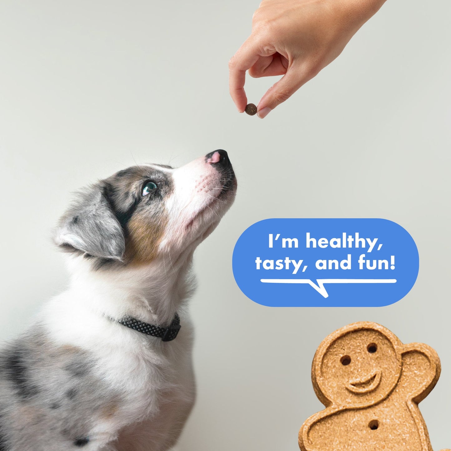 Buddy Biscuits Trainers Training Bites Soft & Chewy Dog Treats, Bacon, 10 oz. Bag