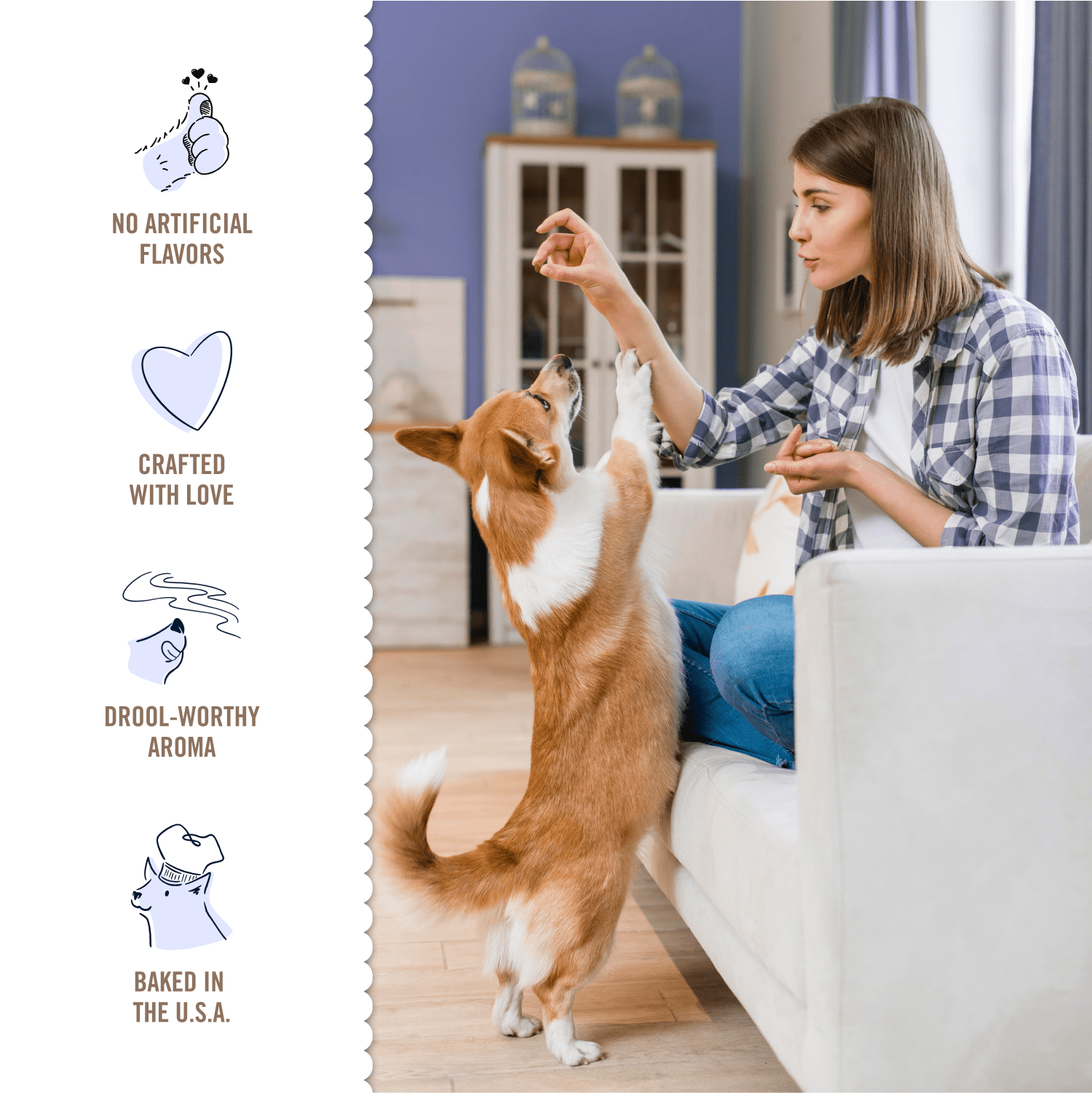 Three Dog Bakery Churro Lick'n Crunch, Crunchy Dog Treat, Churro Flavor, 13oz