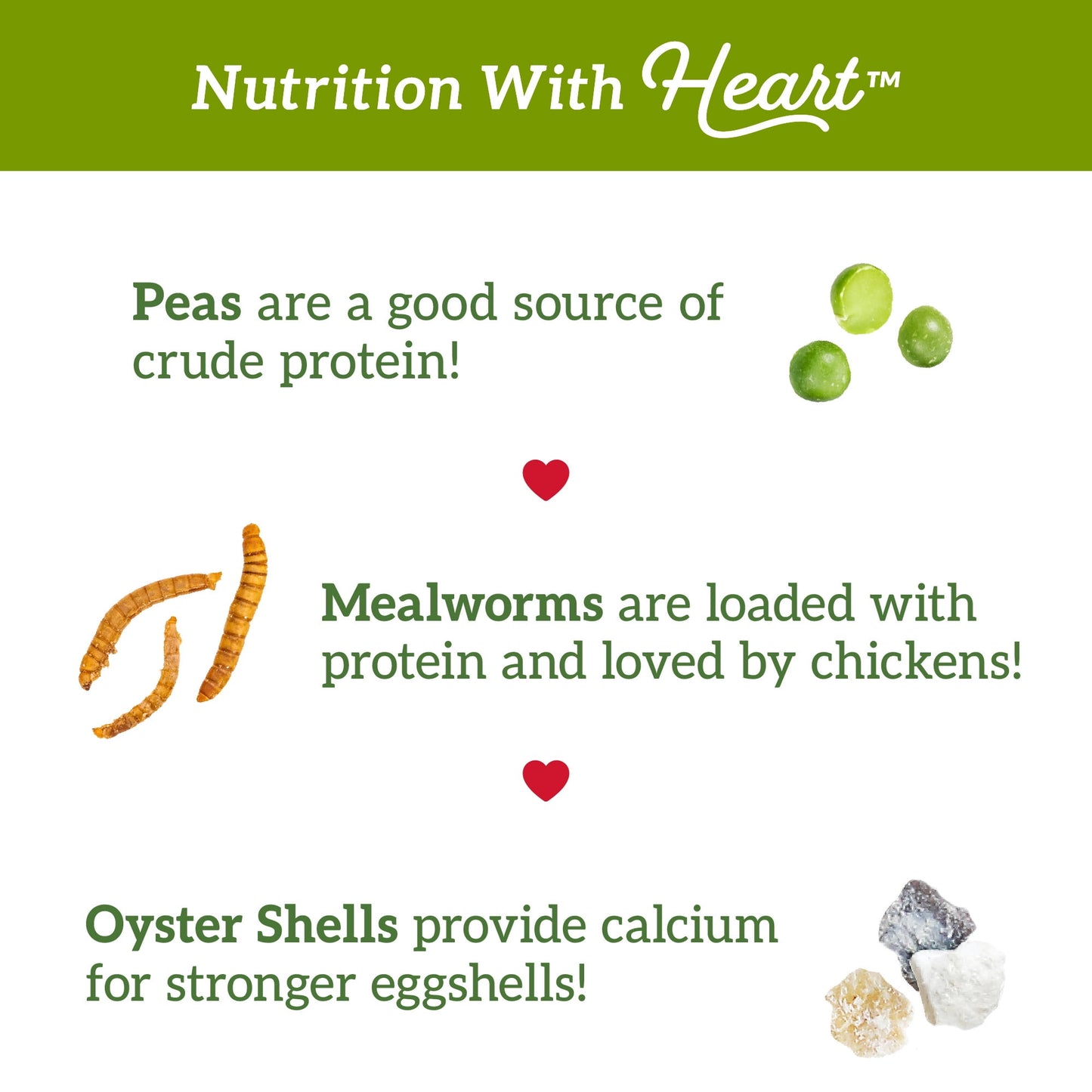 Love My Girls Veggies & Worms Gourmet Multi-Grain Chicken Treats, 5 lb. Bag, 1-Pack