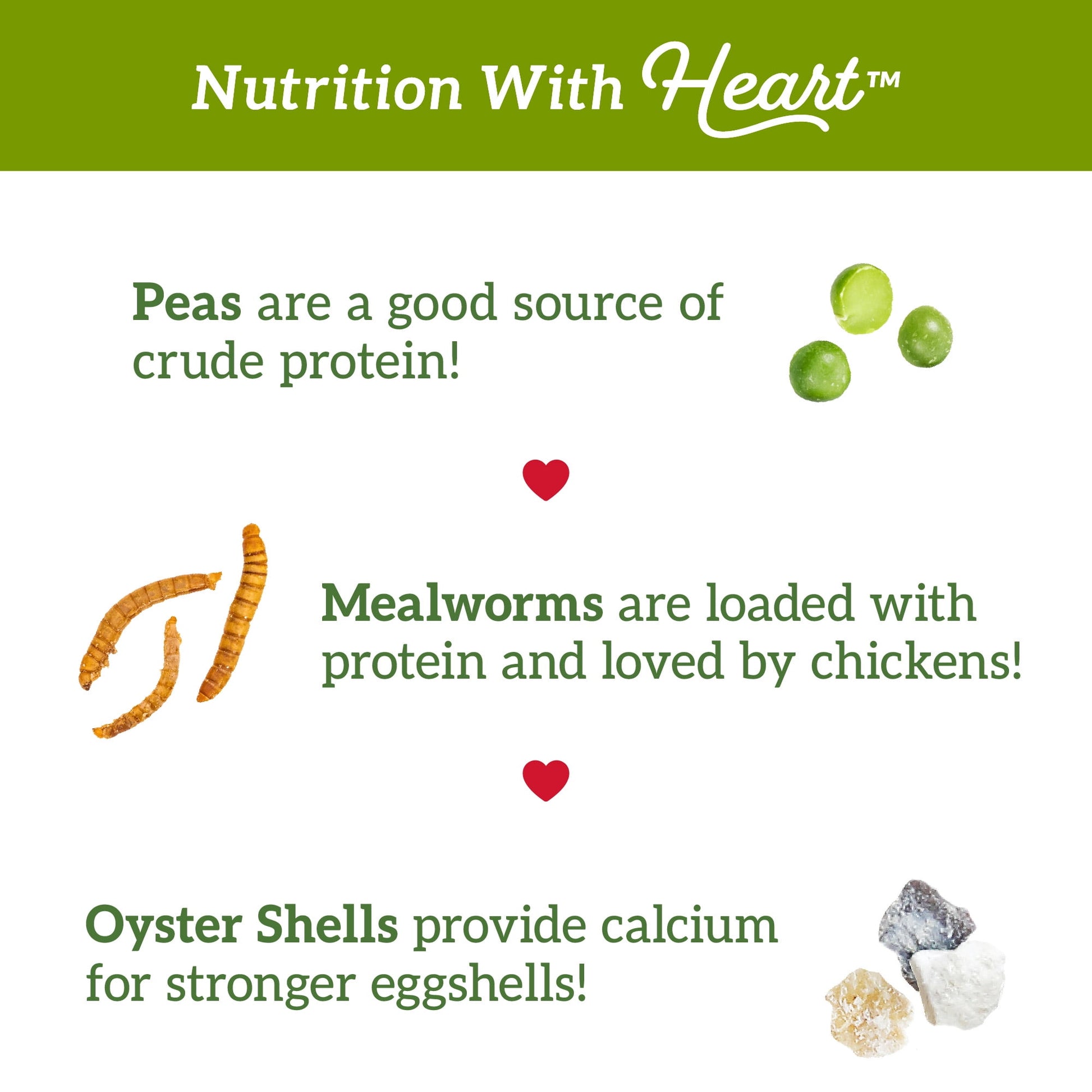 Love My Girls Veggies & Worms Gourmet Multi-Grain Chicken Treats, 5 lb. Bag, 1-Pack