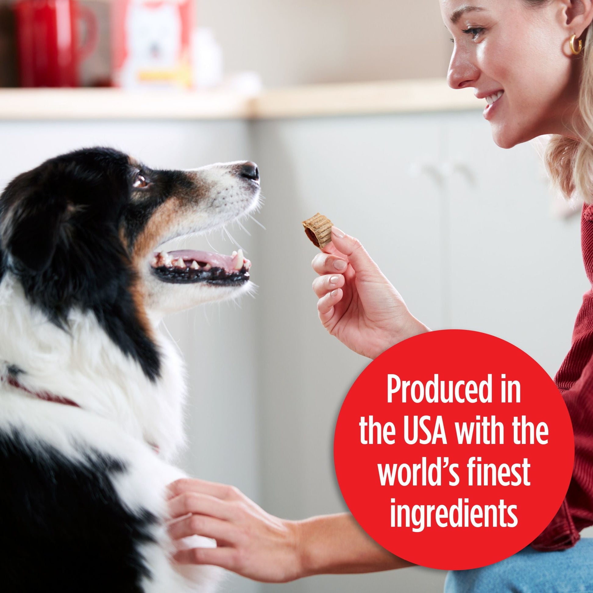 Milk Bone Stuffed Dog Biscuits With Real Bacon & Beef 30 oz