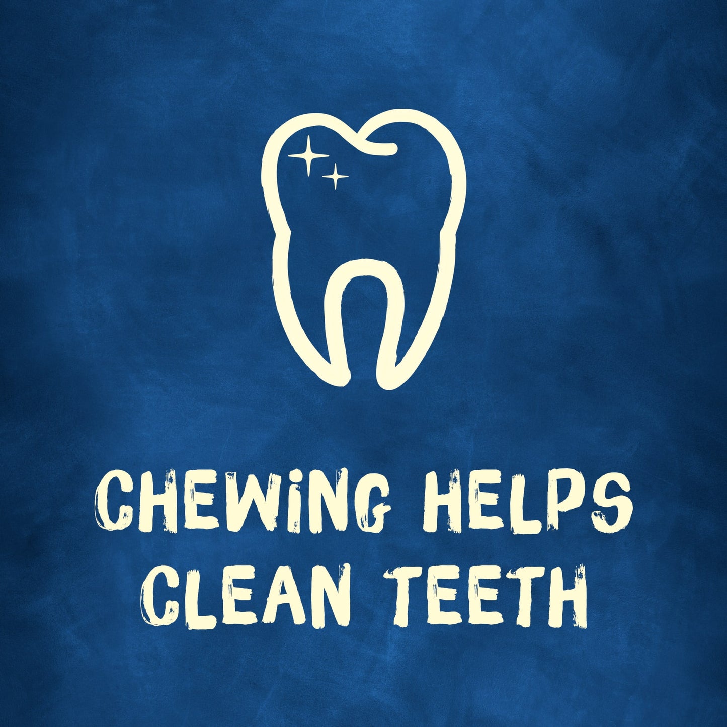 Purina Busy Bone 15-30 lbs Dog Treats with Real Pork, Long-Lasting Chews, 21 oz Pouch (12 Count)