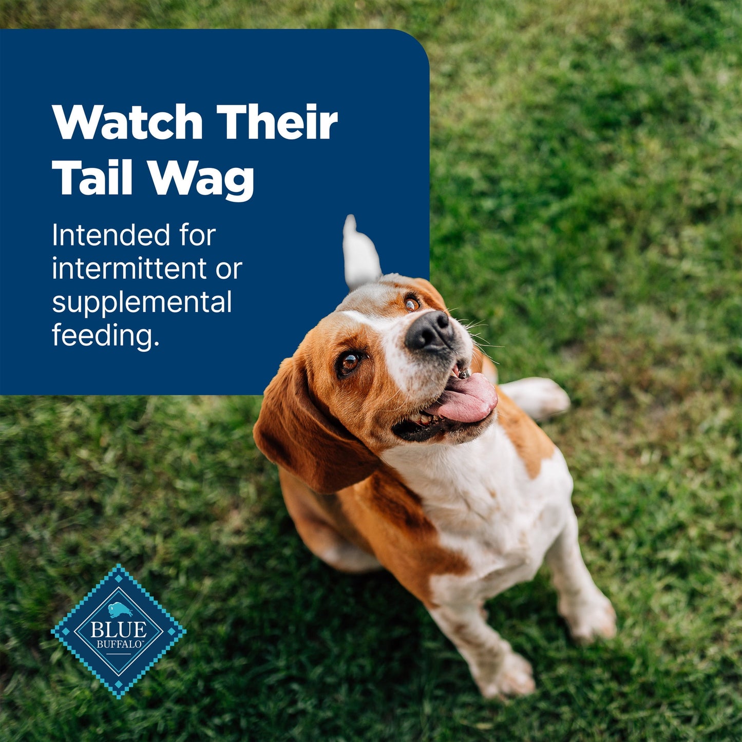 Blue Buffalo Nudges Grillers Natural Dog Treats Made with Real Chicken, 16-oz. Bag