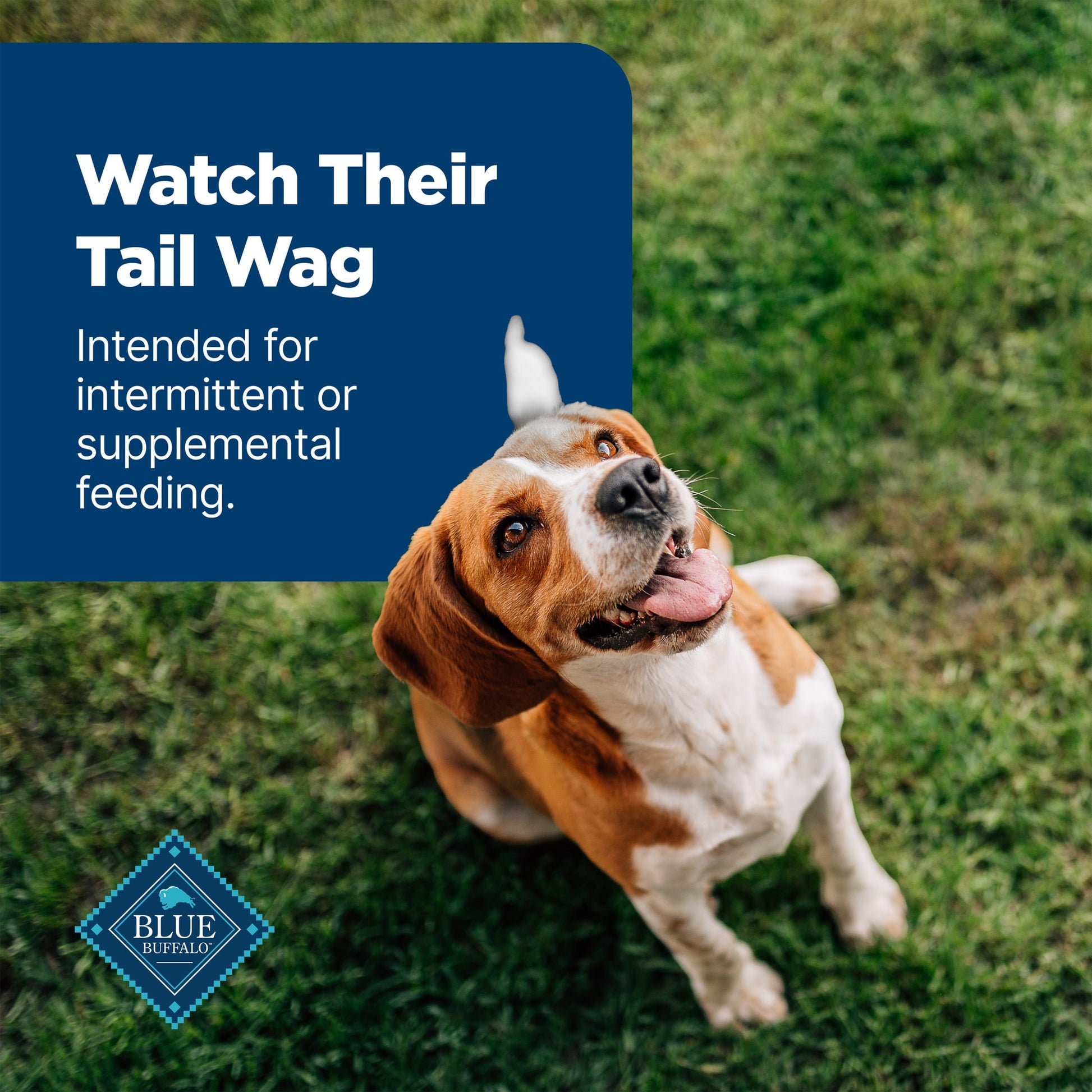 Blue Buffalo Nudges Grillers Natural Dog Treats Made with Real Chicken, 16-oz. Bag