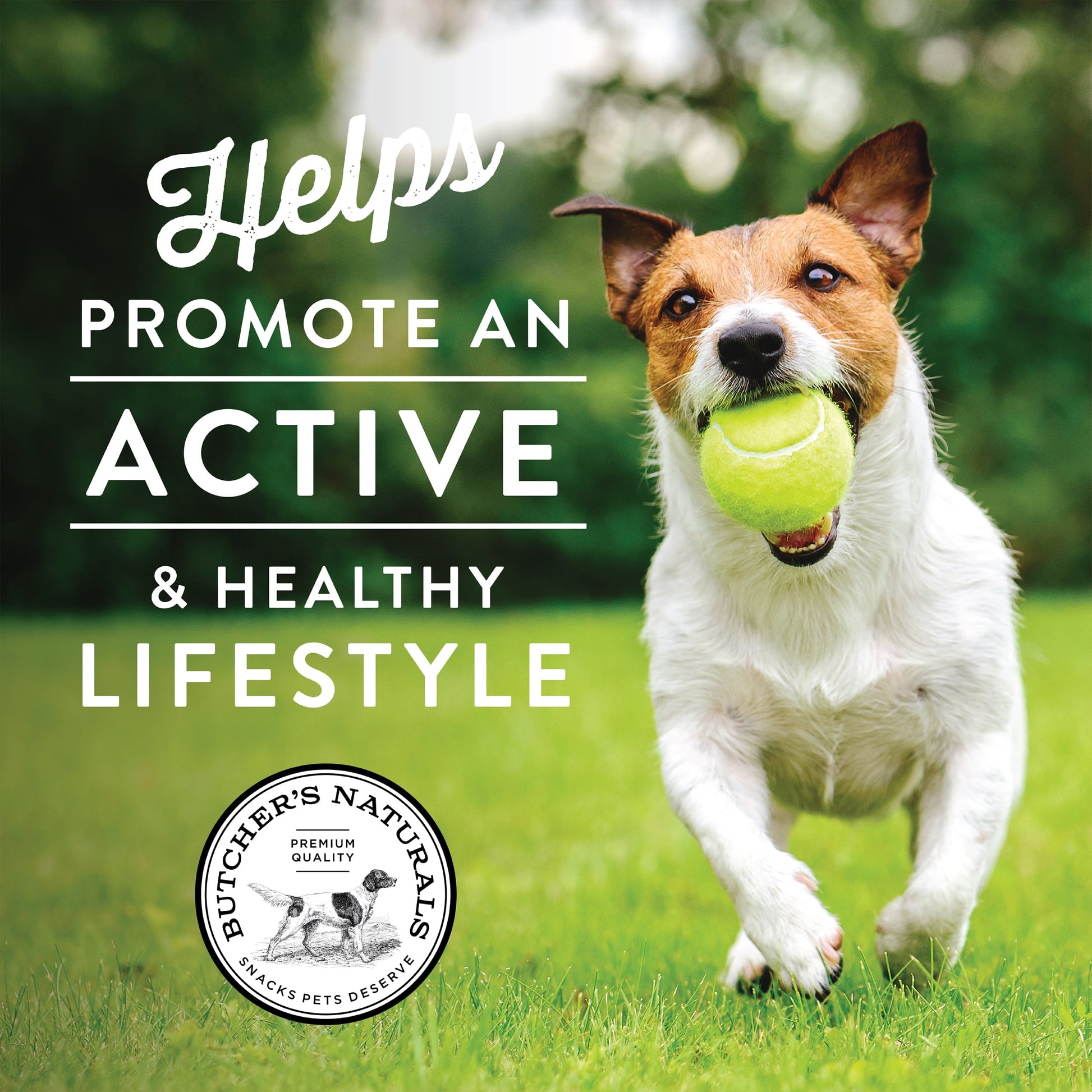 Butcher’s Naturals Pork Flavored Pig Ears Treats for Dogs, 10 Pieces