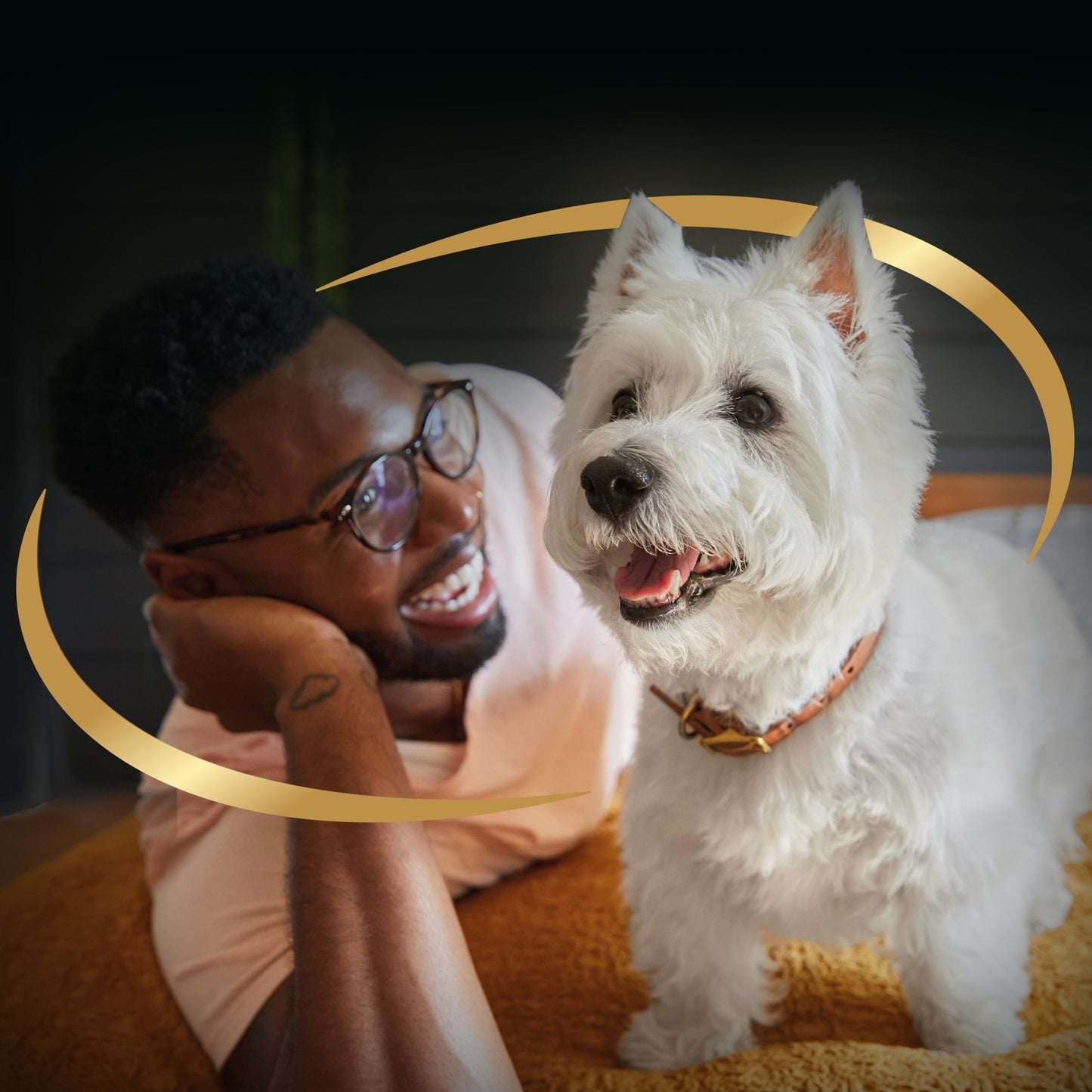 (4 pack) Cesar Loaf And Topper Angus Beef With Bacon And Cheese Wet Dog Food, 3.5 Oz Tray