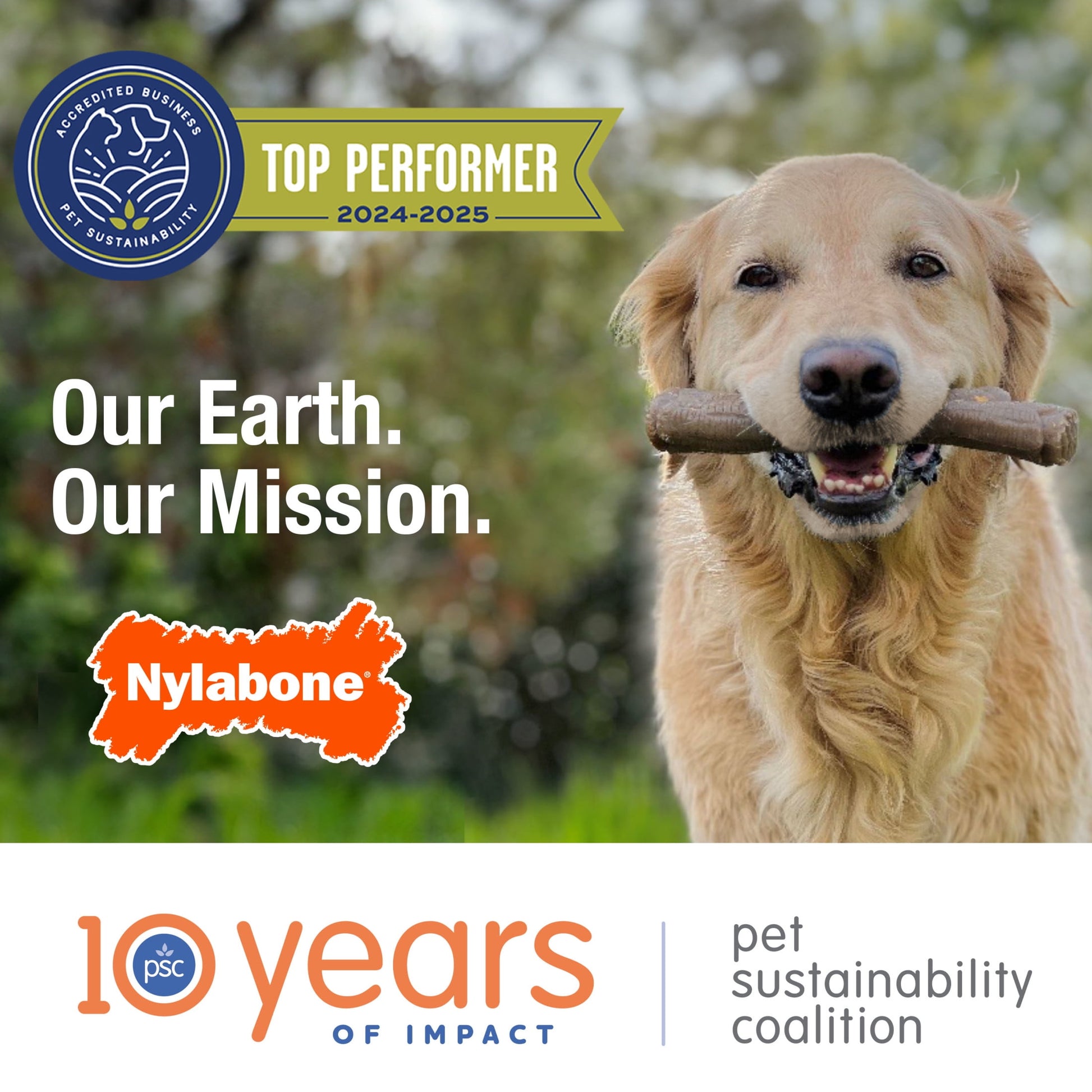 Nylabone Power Chew Textured Dental Chew Toy, Chicken Flavor, Medium - Up to 35 lbs. (1 Count)