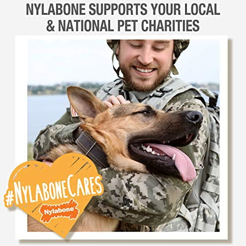 Nylabone Healthy Edibles All-Natural Long Lasting Bacon Dog Chew Treats 3 Count, Bacon Small/Regular