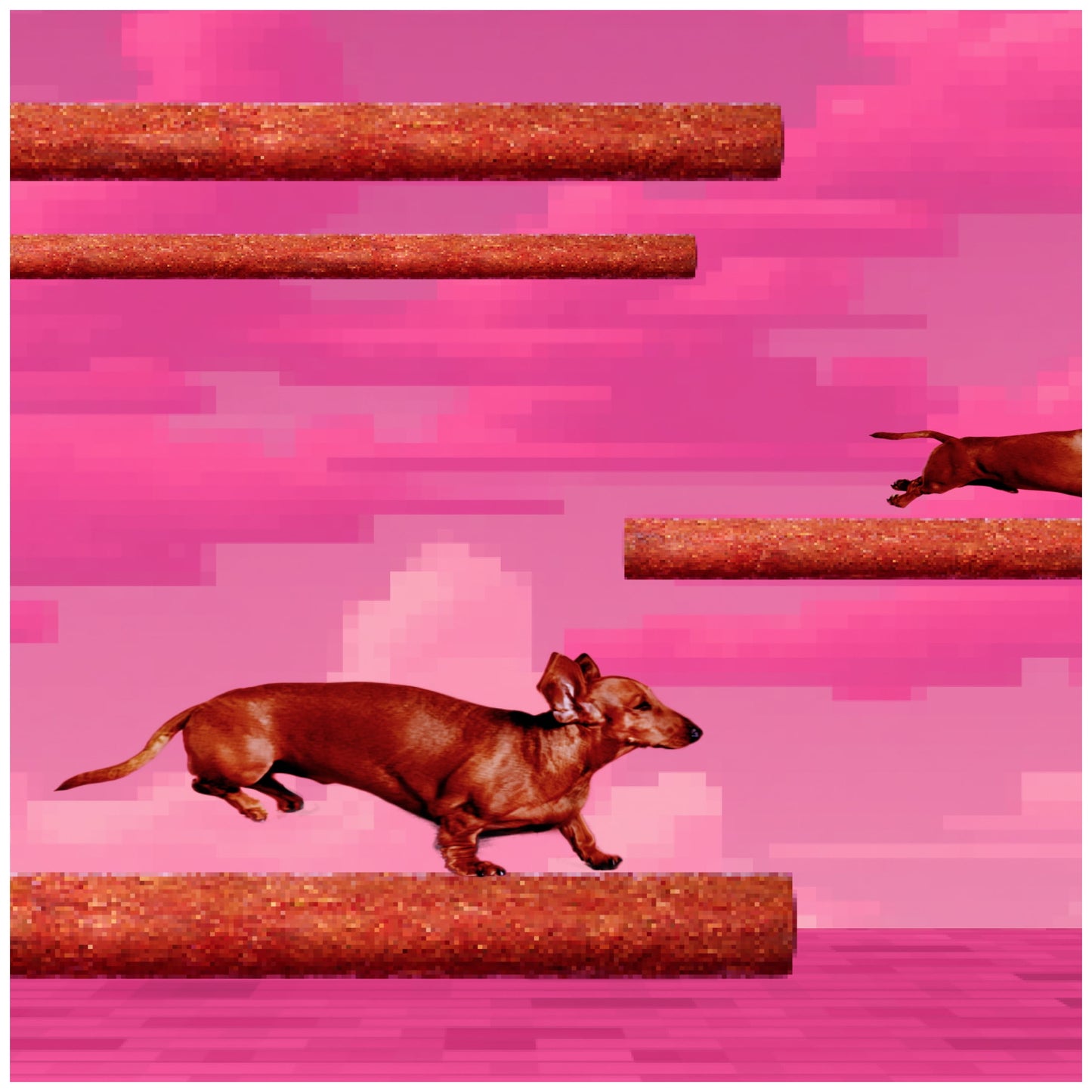 BONKERS Zoomers Dog Treats, Smoky Bacon Flavor, Soft & Chewy Dog Snacks, Treats for Dogs, 22 oz Bag