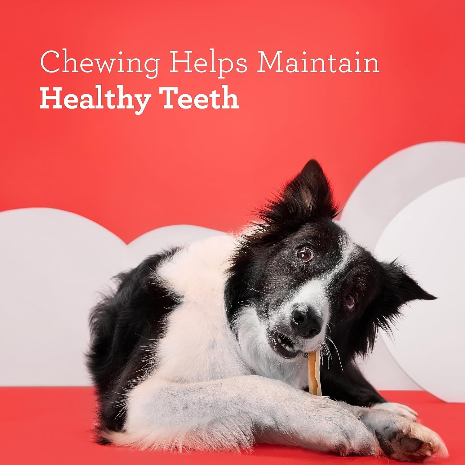 DreamBone DreamSticks Made with Real Sweet Potato, Rawhide-Free Chews for Dogs, 10 Count