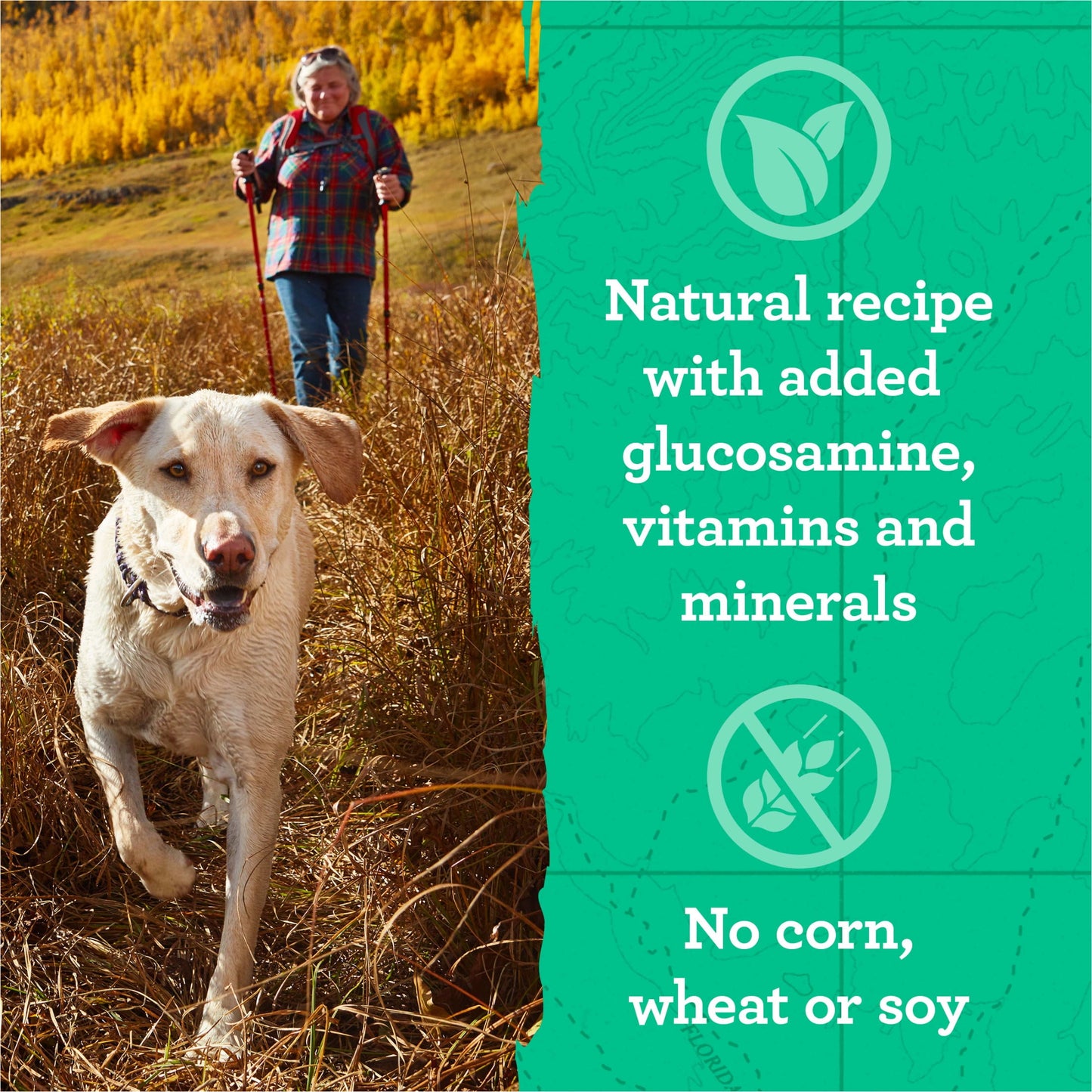 Zuke's Hip & Joint Soft Dog Treats, Natural Chicken Recipe Tender Chews, 6 oz Pouch