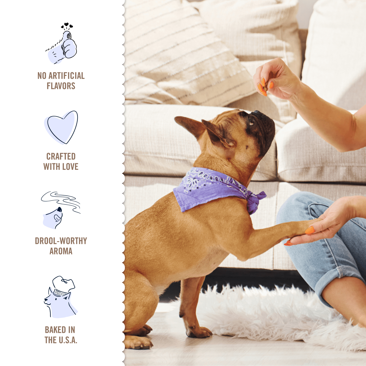 Three Dog Bakery Double Rewards Apple & Cheese Soft Chewy Dog Treats, 10oz