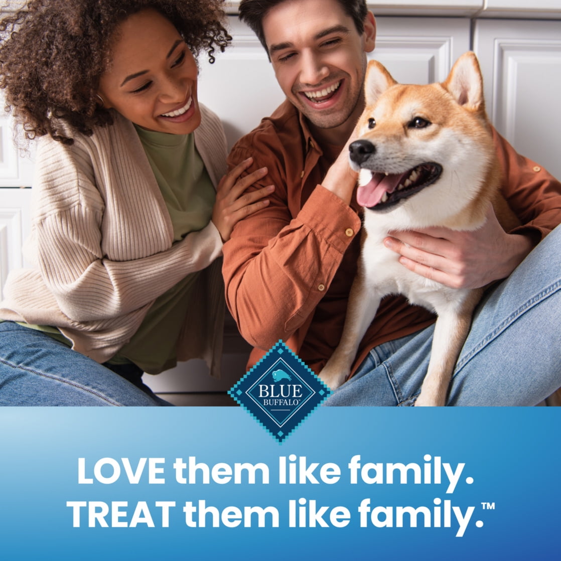 Blue Buffalo Medium Dental Chews, Daily Dental Care Dog Treats, Chicken & Spearmint (14 Count)