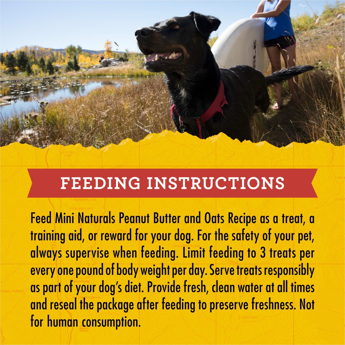 Zuke's Mini Naturals Soft Dog Training Treats, Peanut Butter Recipe Tender Chews, 6 oz Pouch