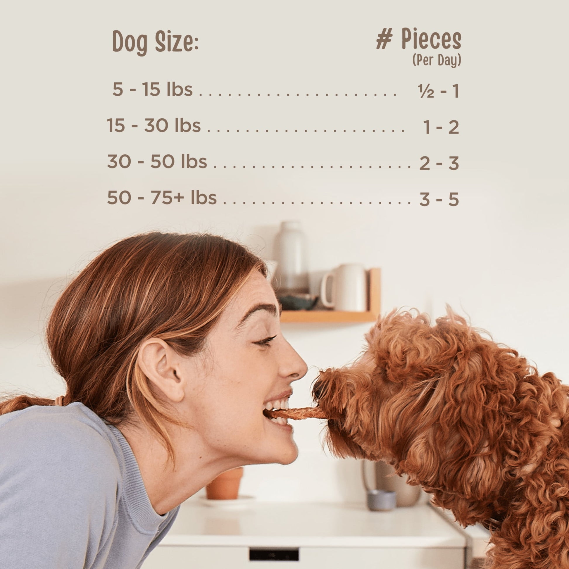 Full Moon All Natural Human Grade Dog Treats, Essential Duck Jerky Tenders, 22 Ounce, Dry