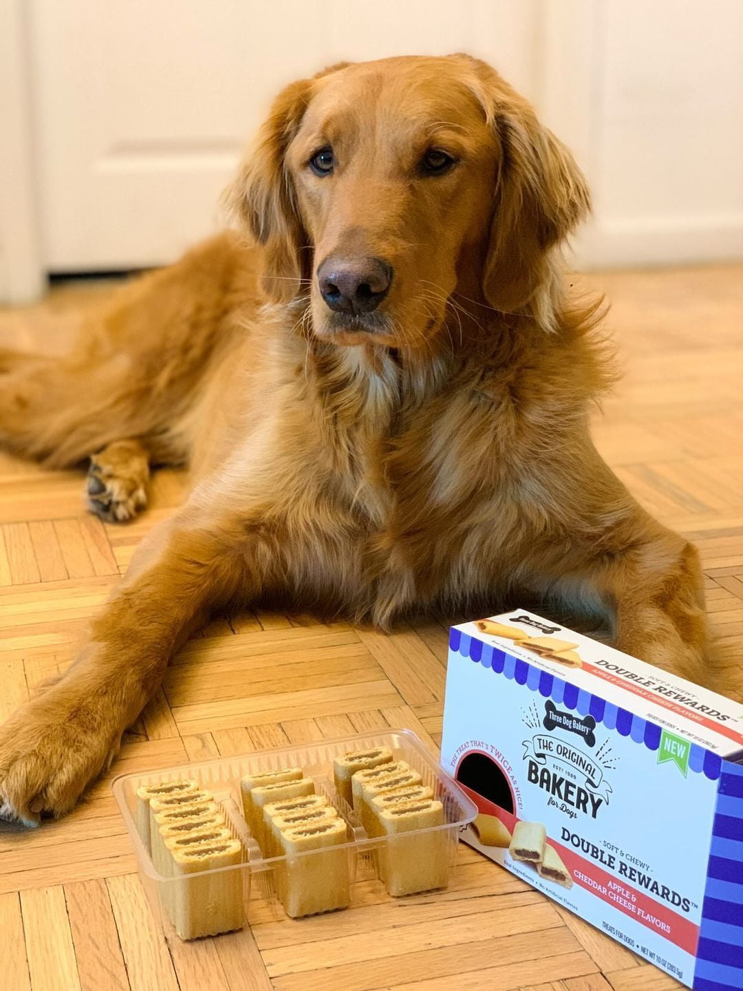 Three Dog Bakery Double Rewards Apple & Cheese Soft Chewy Dog Treats, 10oz