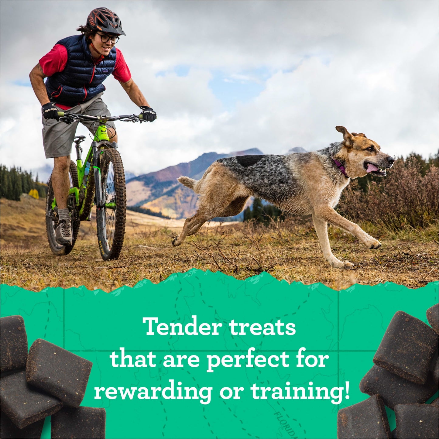 Zuke's Hip & Joint Soft Dog Treats, Natural Chicken Recipe Tender Chews, 6 oz Pouch