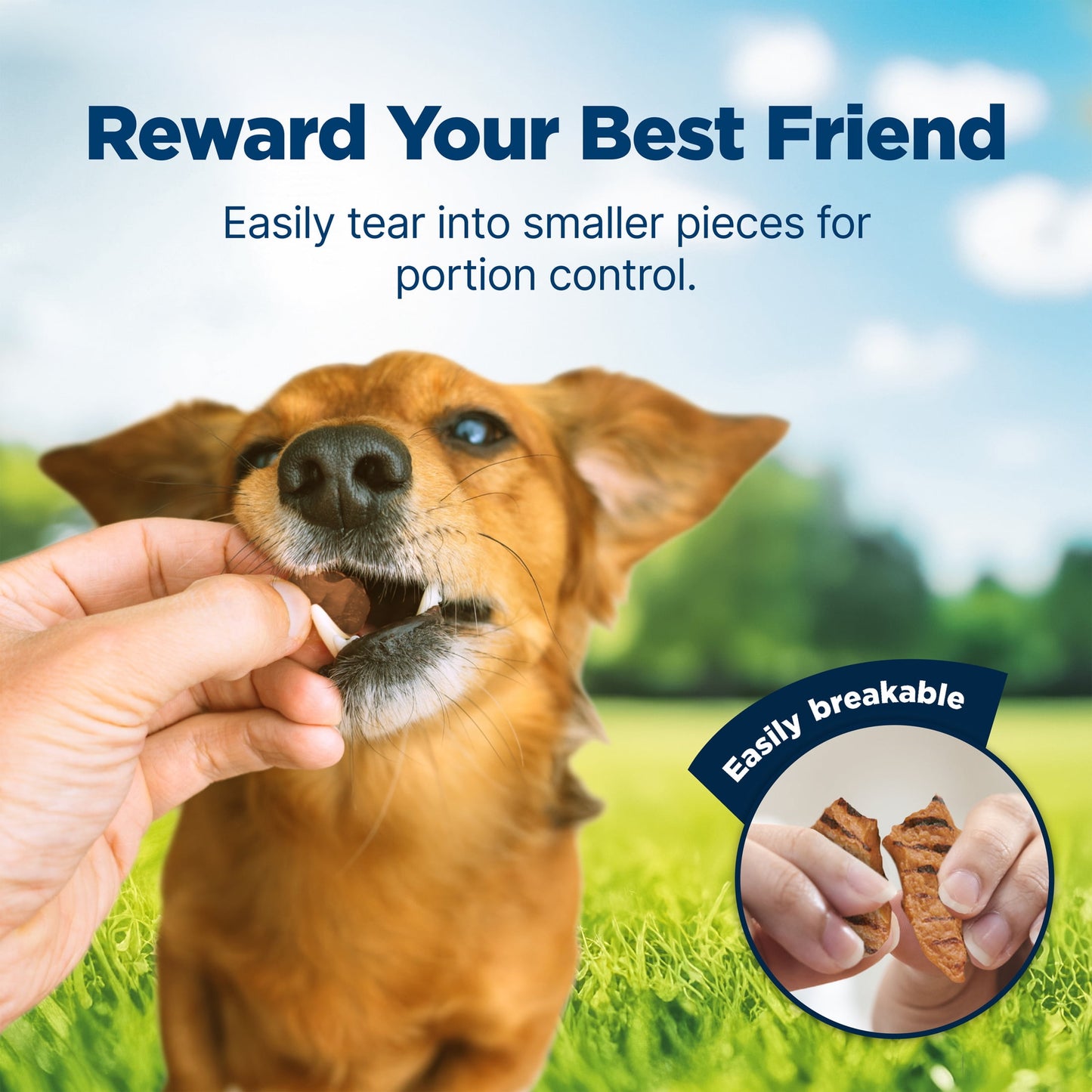 Blue Buffalo Nudges Grillers Natural Dog Treats Made with Real Chicken, 16-oz. Bag