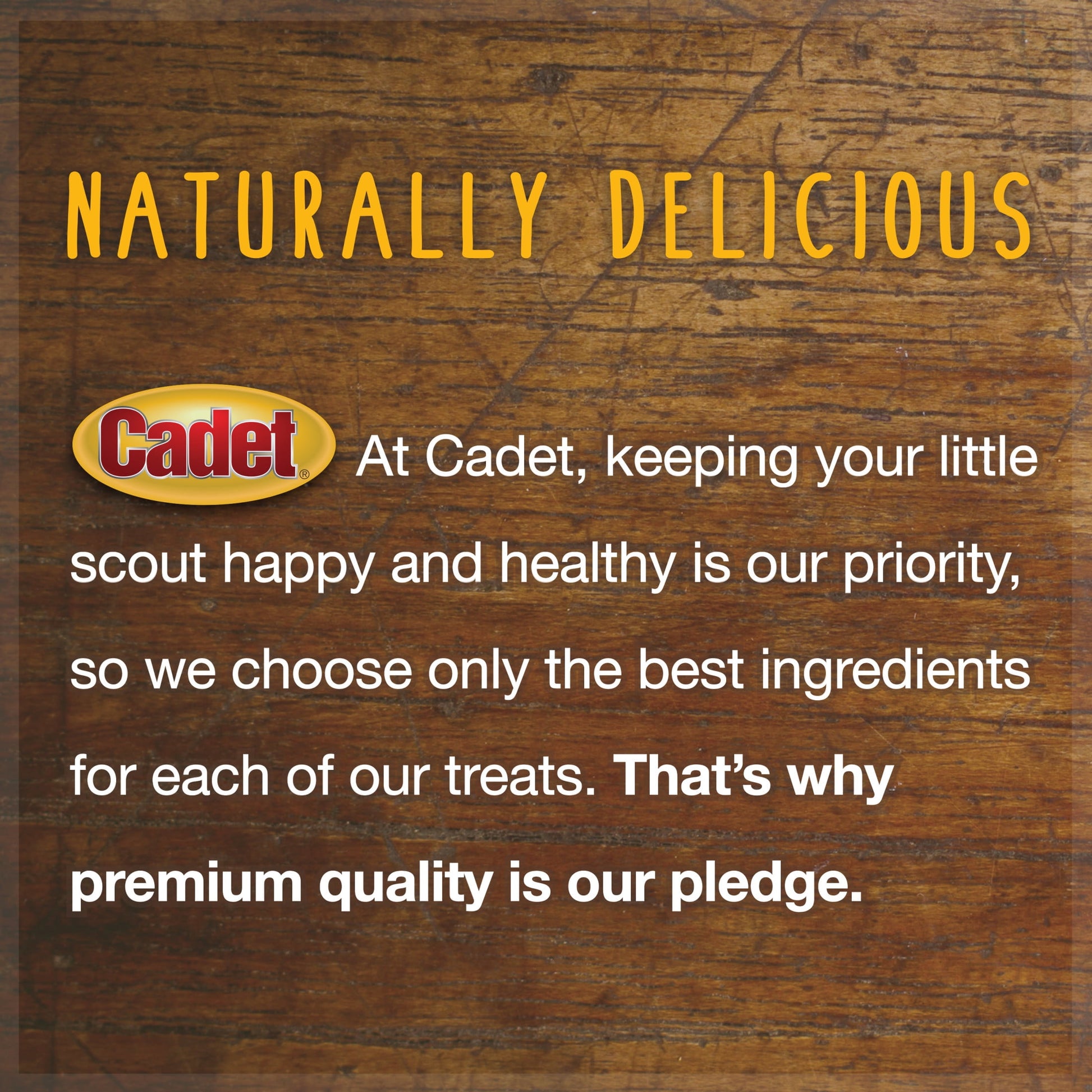 Cadet 100% Real Beef Strips for Dogs 4 oz.