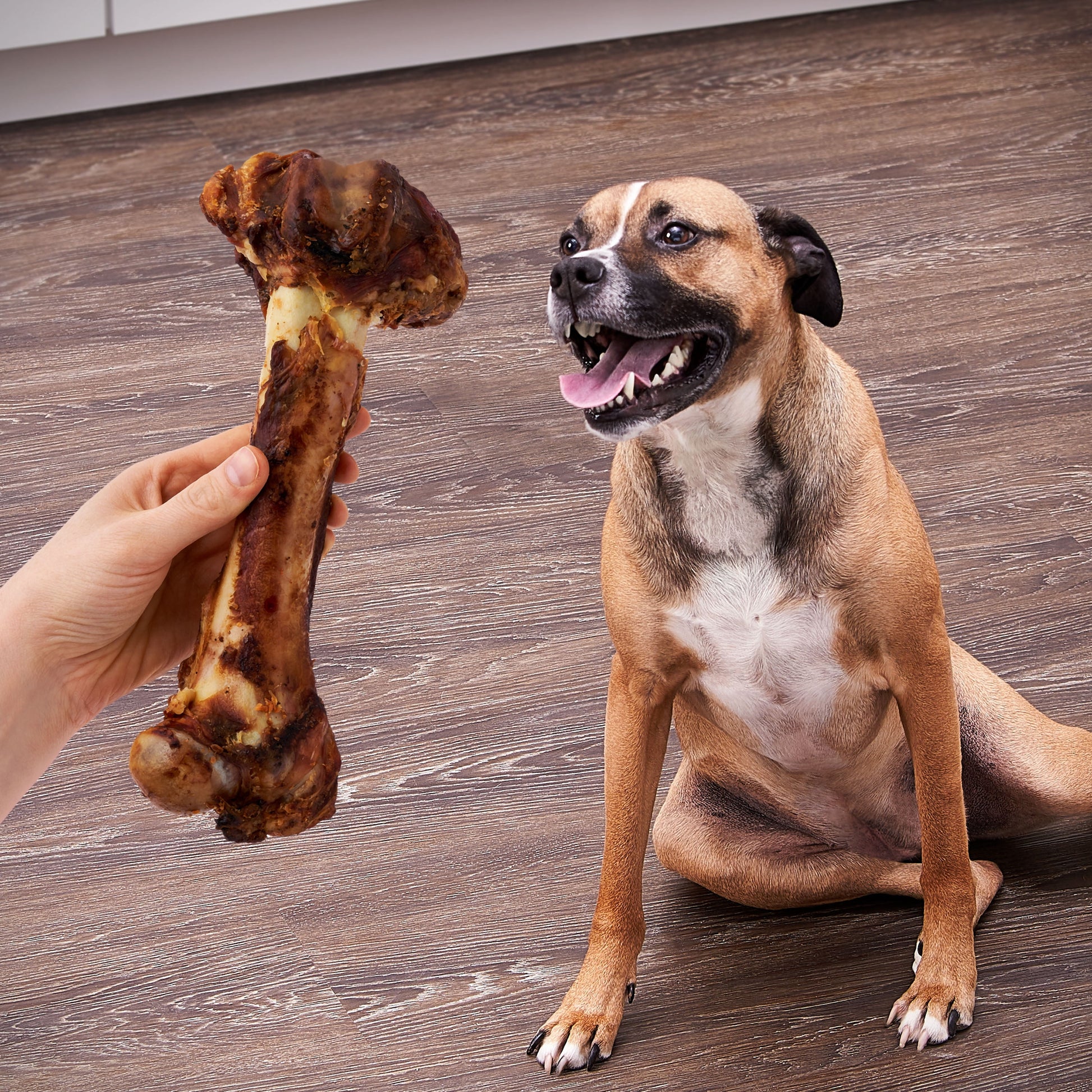 Ol' Roy Natural Jumbo Pork Femur Chew for Dogs, 1 Count, 14.38 oz