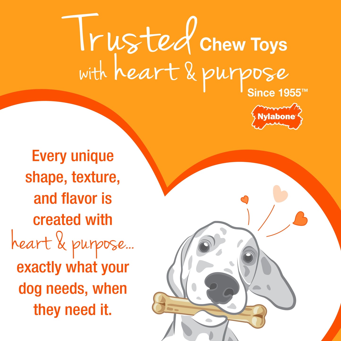 Nylabone Power Chew Textured Dental Chew Toy, Chicken Flavor, Medium - Up to 35 lbs. (1 Count)