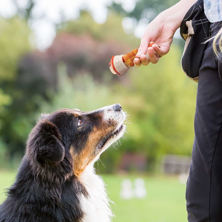 Good ’n’ Fun Triple Flavor Chew, 8 Inch Bone, Rawhide for All Dogs, 1 Count