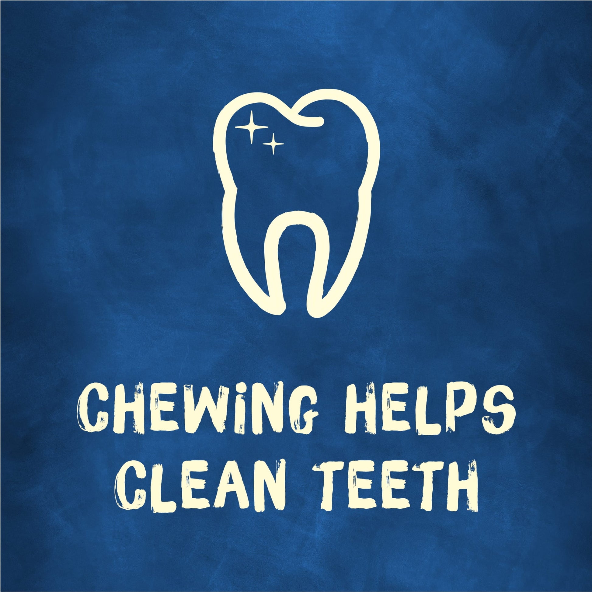 Purina Busy Bone 15-30 lbs Dog Treats with Real Pork, Long-Lasting Chews, 21 oz Pouch (12 Count)