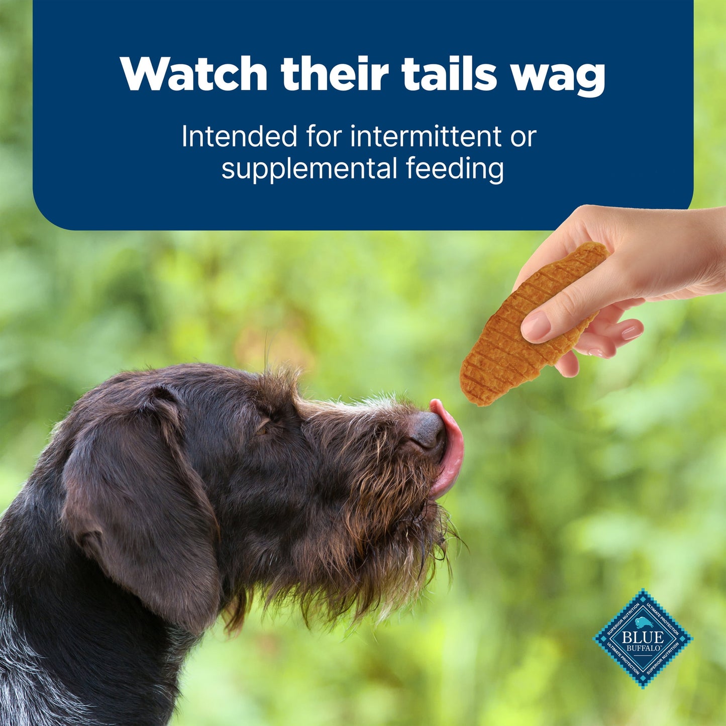 Blue Buffalo Nudges Jerky Cuts Dog Treats Made with Real Chicken, 36-oz. Bag